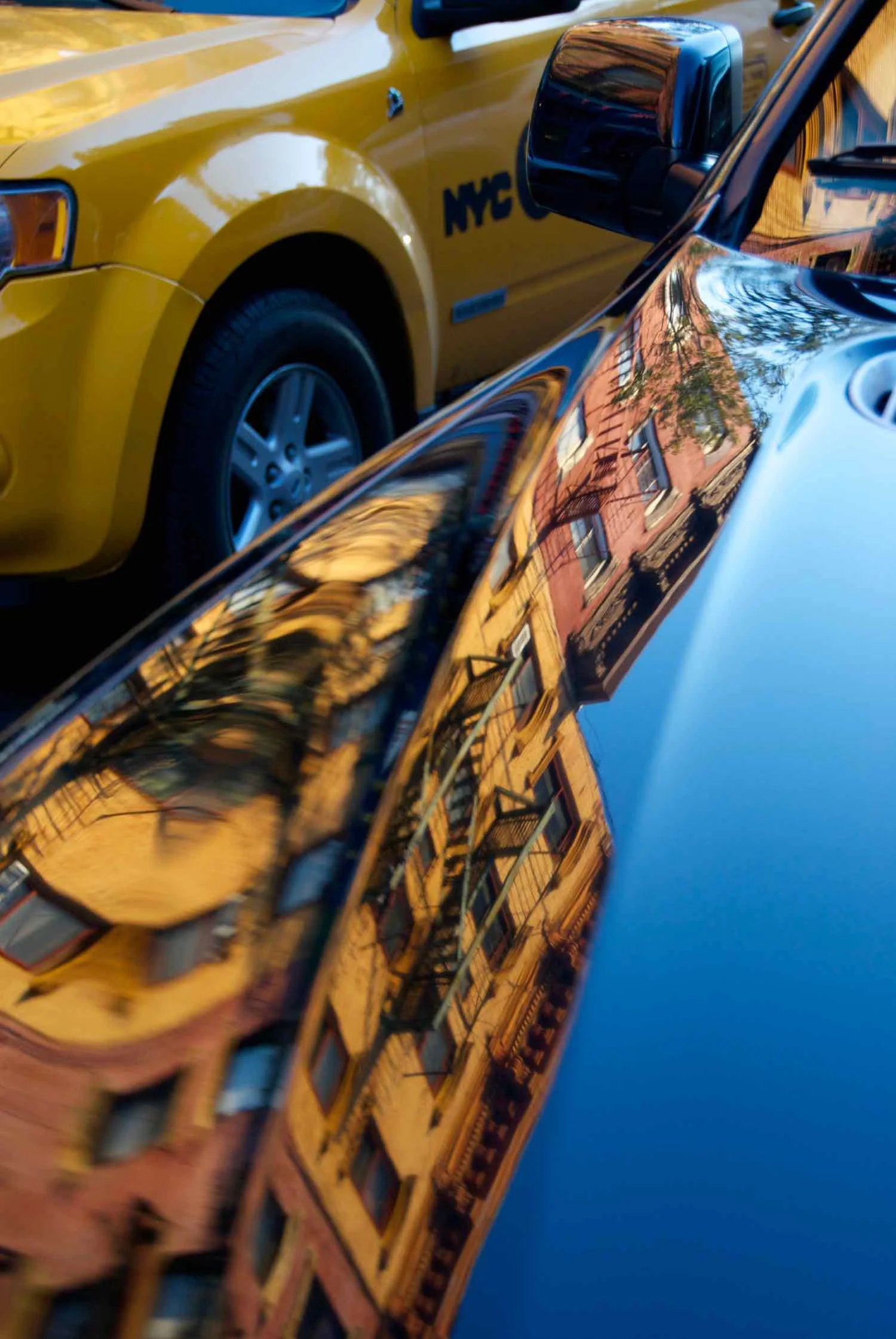 Hot Wheels - Ezra Soiferman - 10.jpg
