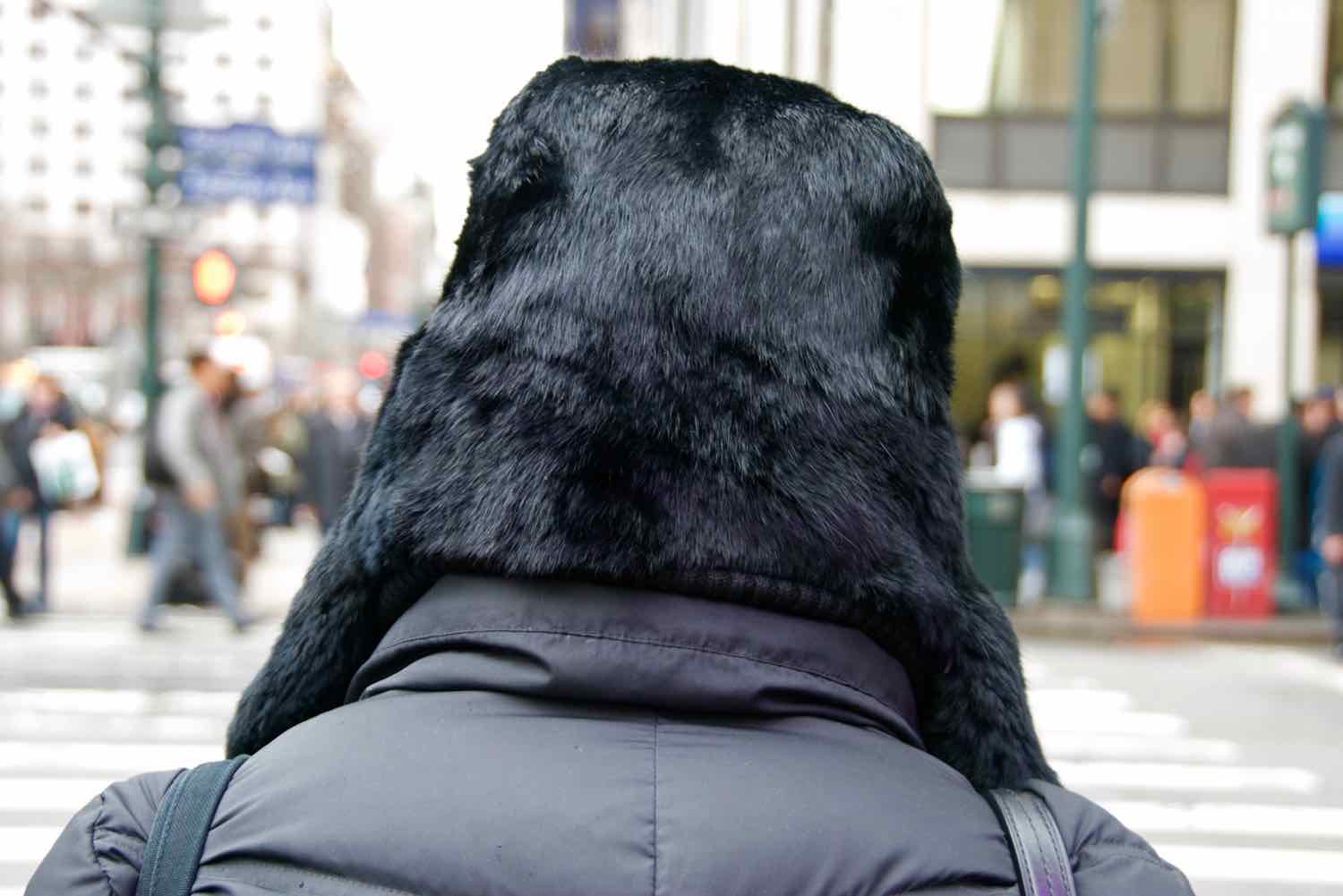 Backs_of_Heads_Ezra_Soiferman - 11.jpg