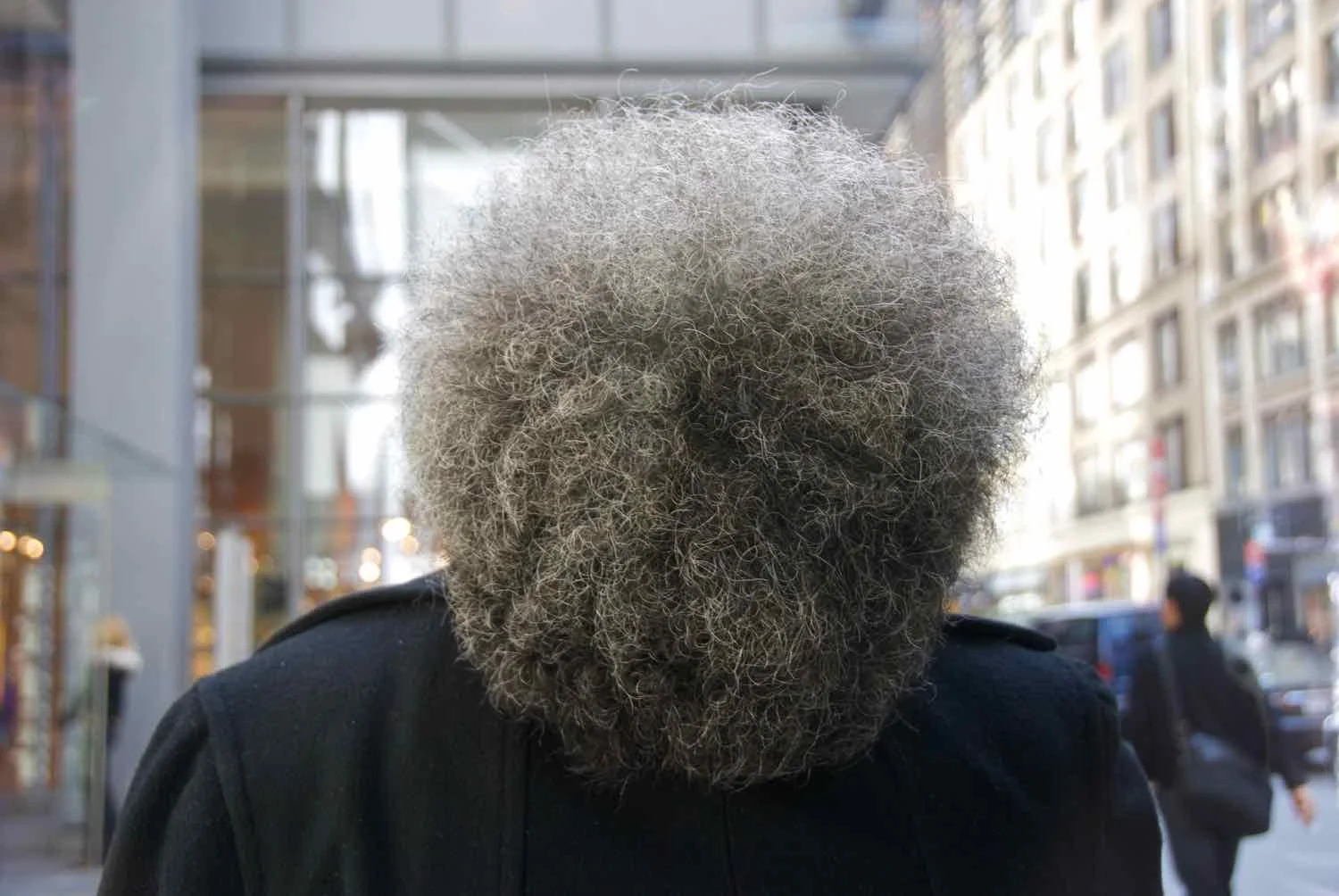 Backs_of_Heads_Ezra_Soiferman - 12.jpg
