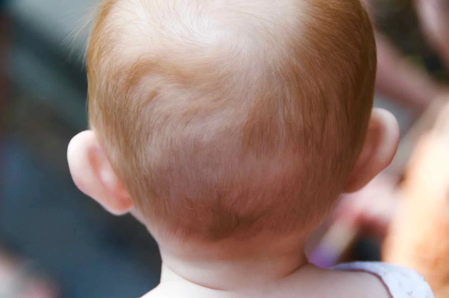 Backs_of_Heads_Ezra_Soiferman - 21.jpg