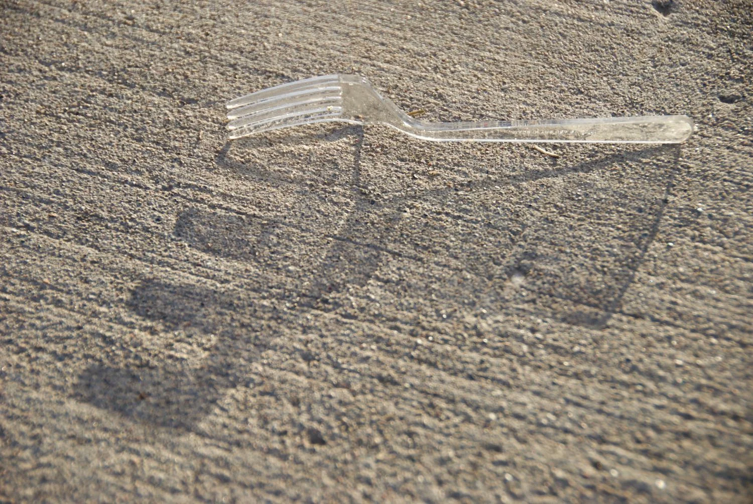 Fork shadow - 1.jpg
