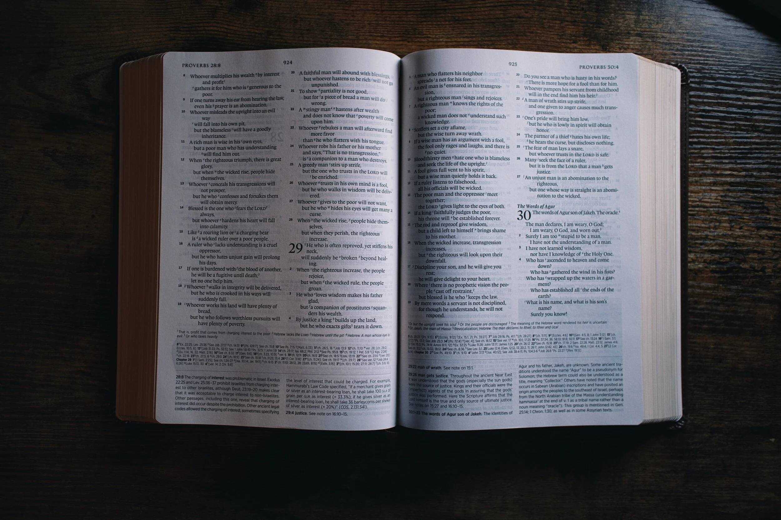 Devotion on Proverbs 3:13-20