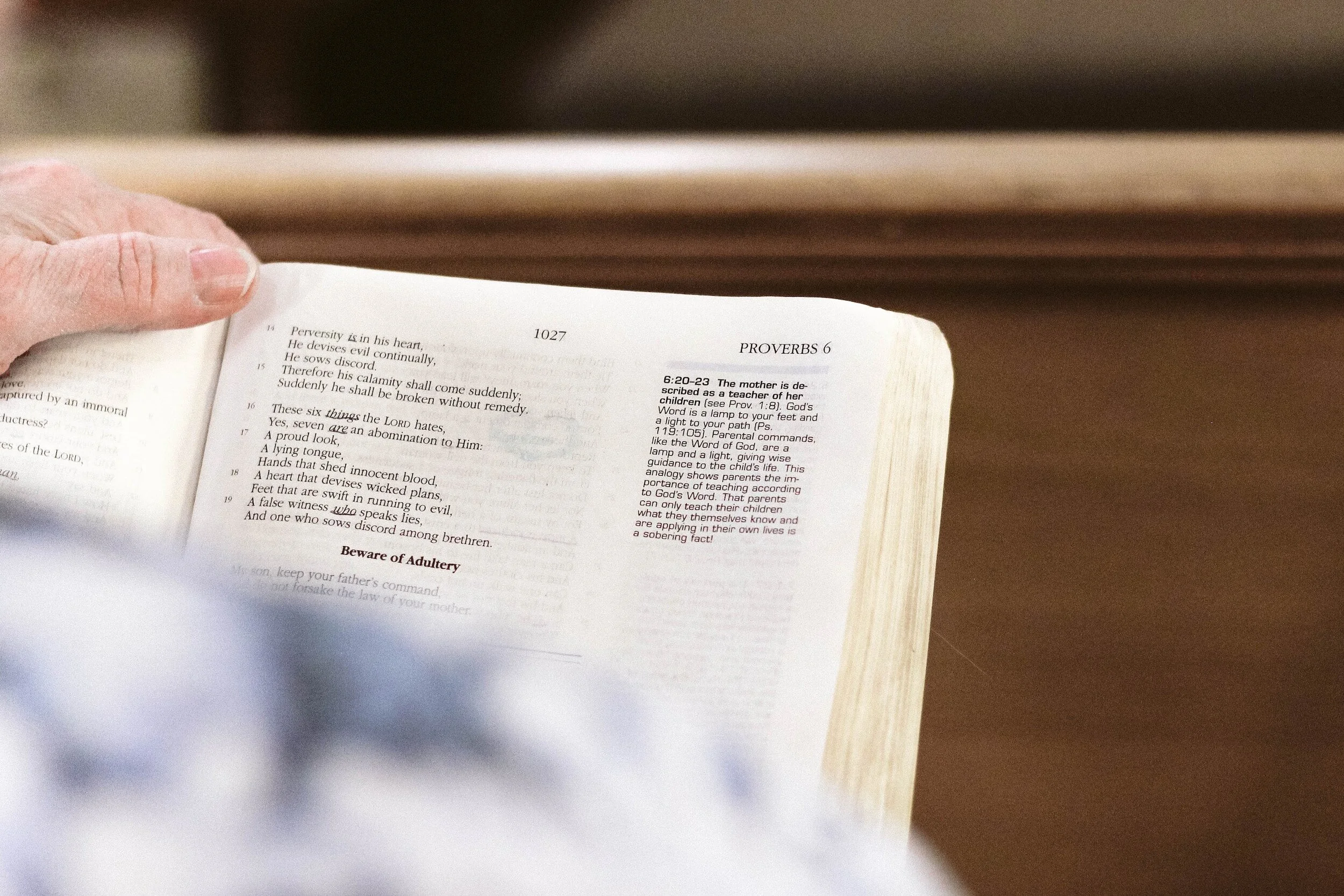 Devotion on Proverbs 1:8-19