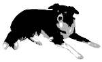 Sheepdog.png