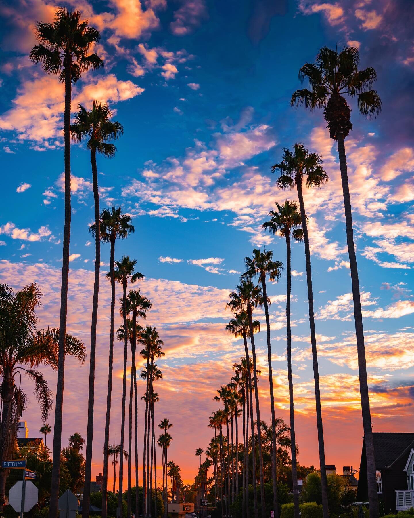 Goldenrod Ave - Newport Beach 
. . . . . .
#normhuttonphotography #nikonimages #normhutton #california #unlimitedcalifornia #surfcityusa #visitnewportbeach #beautifuldestinations #earthfocus #earth_shotz #earth_reflect #hoyafilterusa #rangeandsea #na