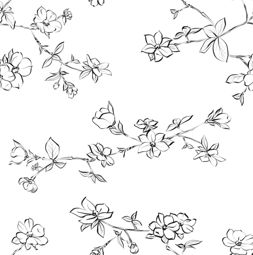akHOME DOGWOOD blackwhite lowres.jpg