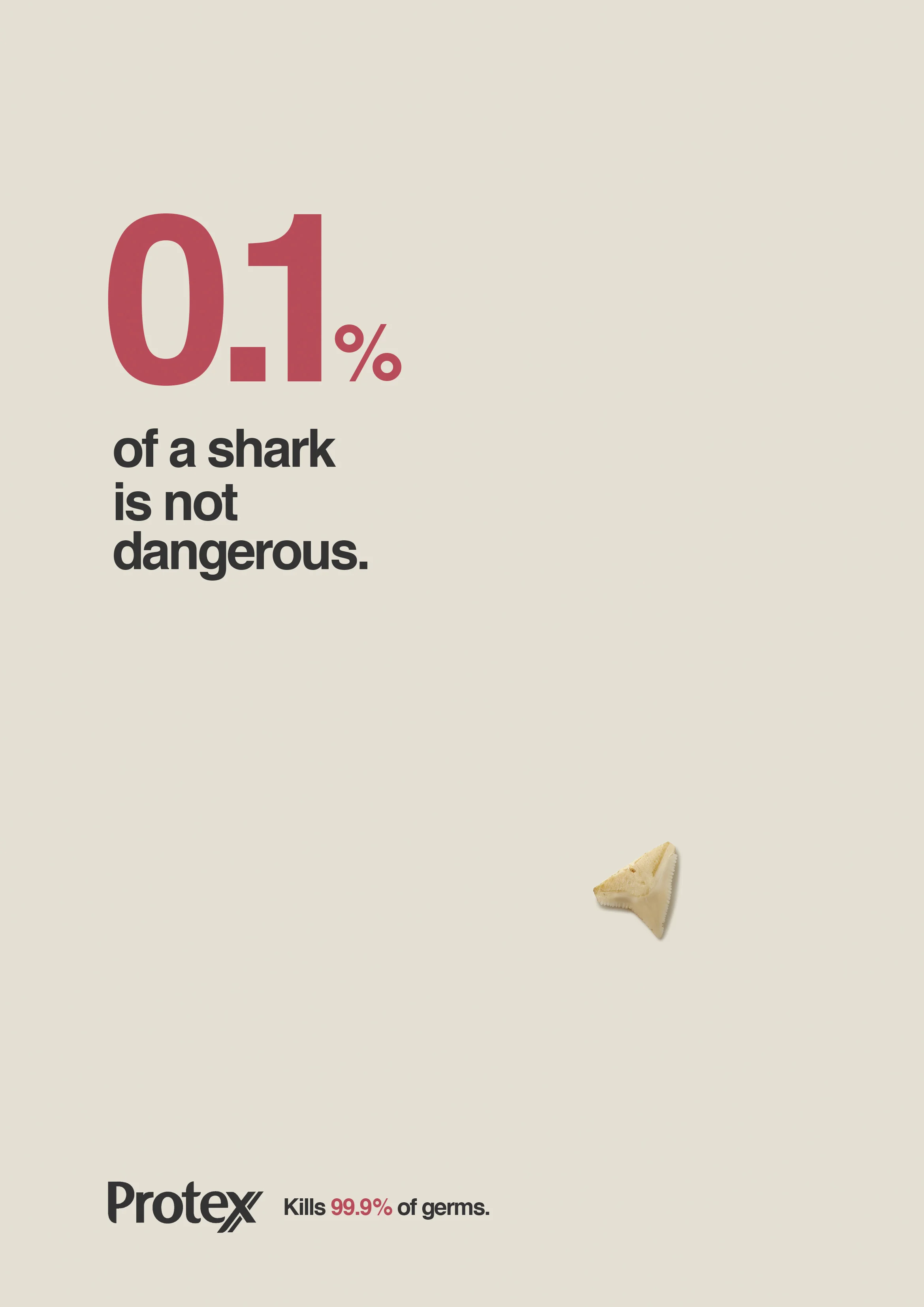 11-11_Shark.jpg