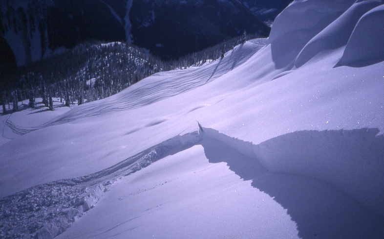 A skier triggered slab avalanche