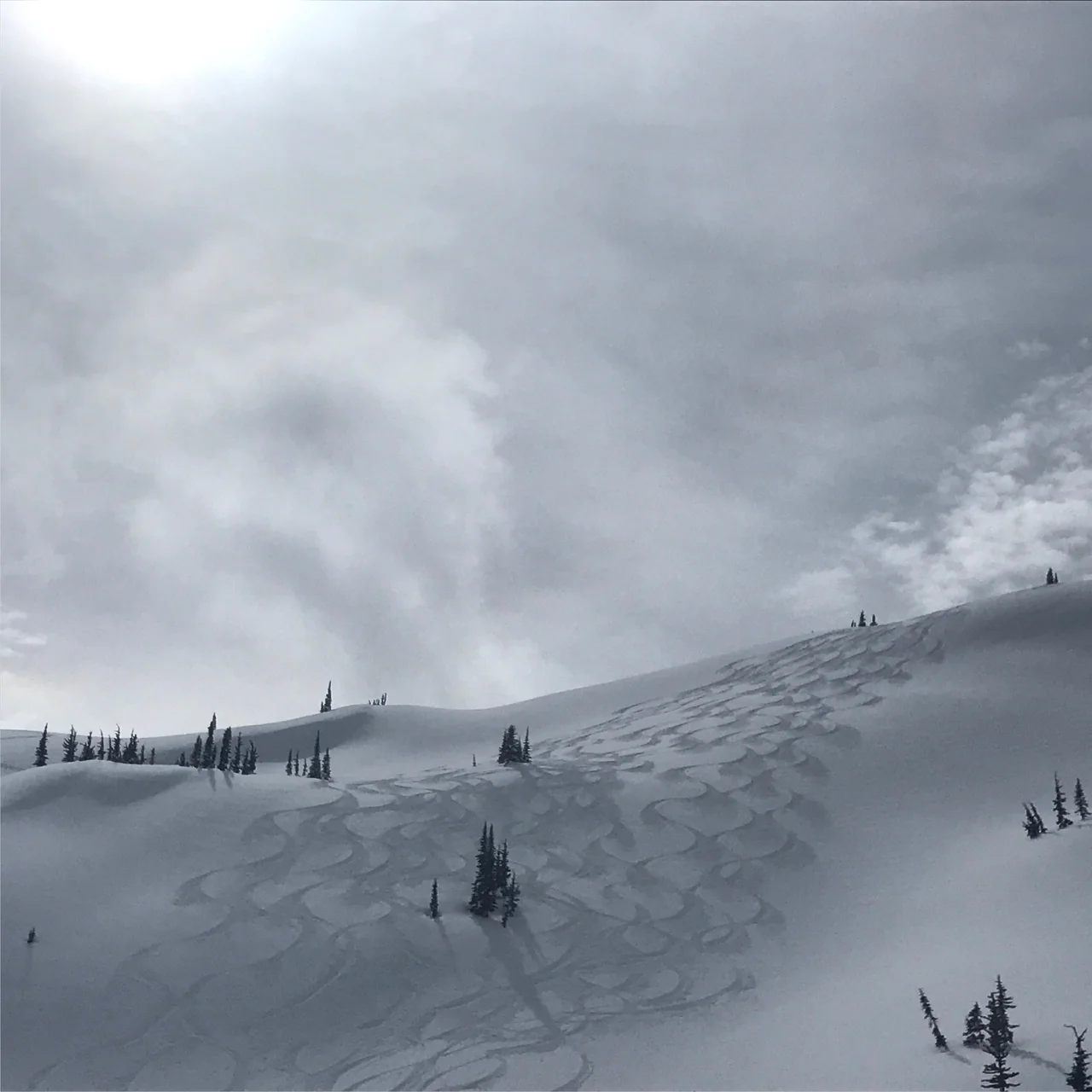 Powder skiing on day 1