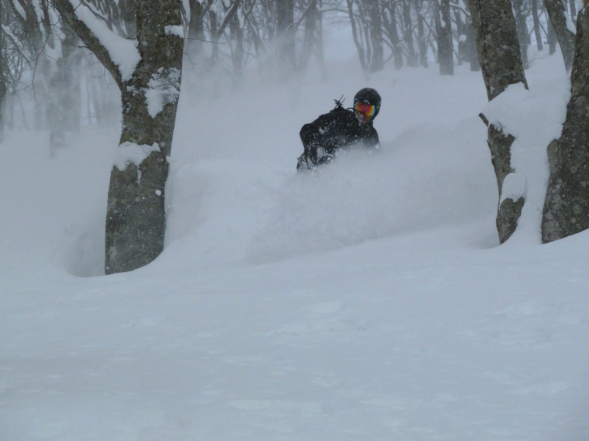 Japow!