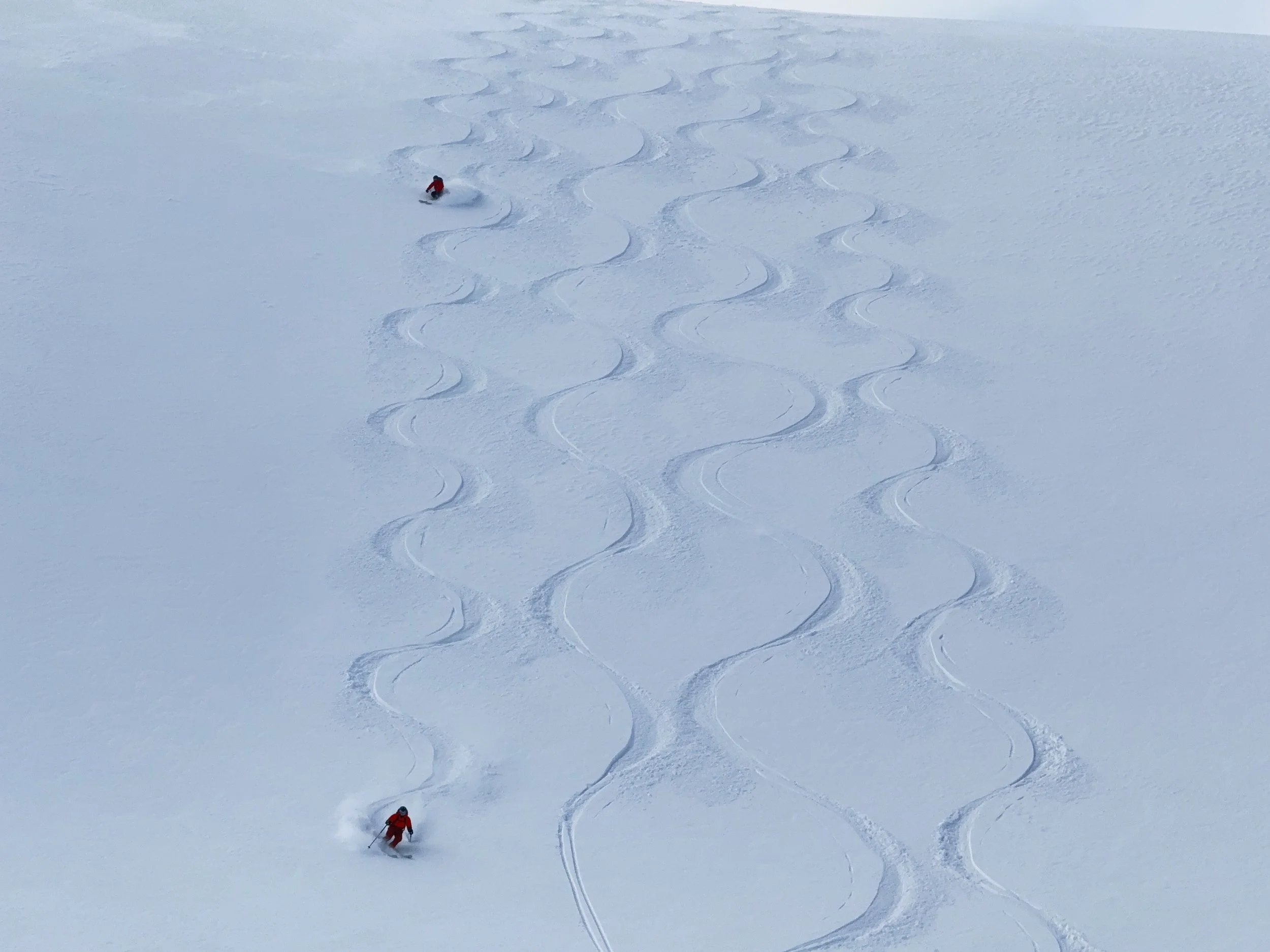 Heli ski touring Purcells.jpeg