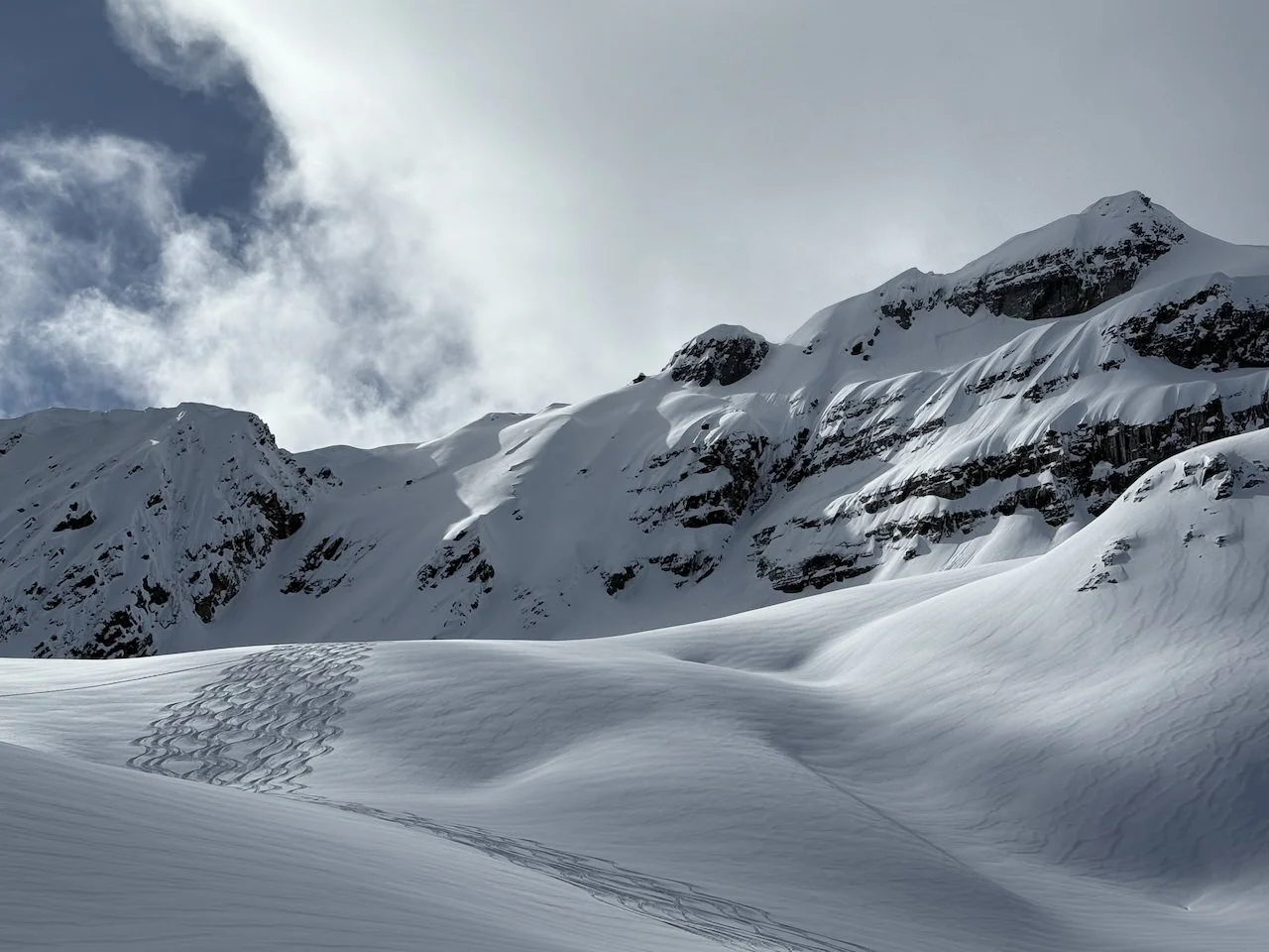Heli touring in the Purcell mountains