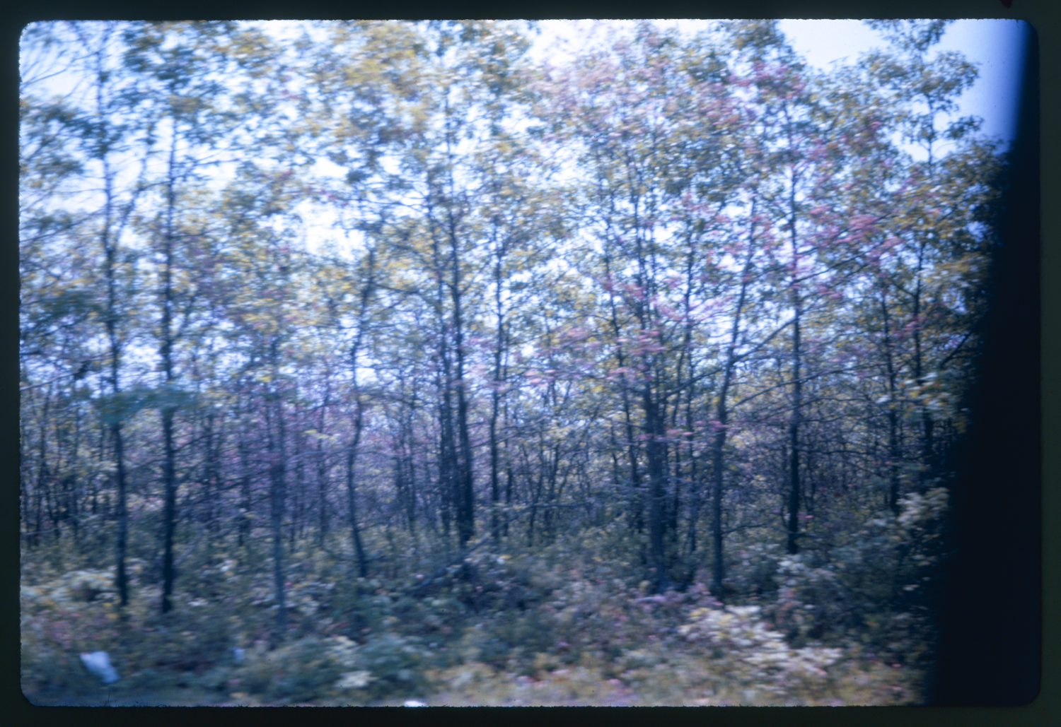 Naomi Annand at the Barbican
