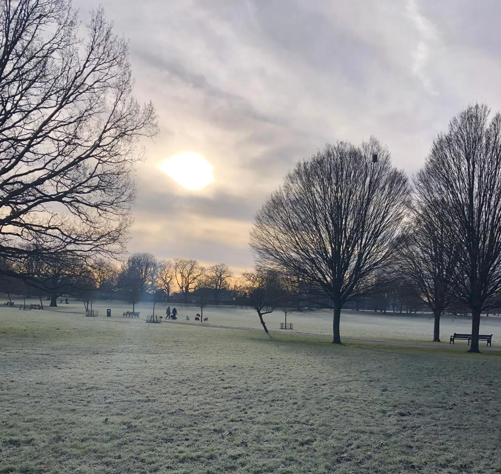 A Winter Solstice Practice with Breige and Rosie 