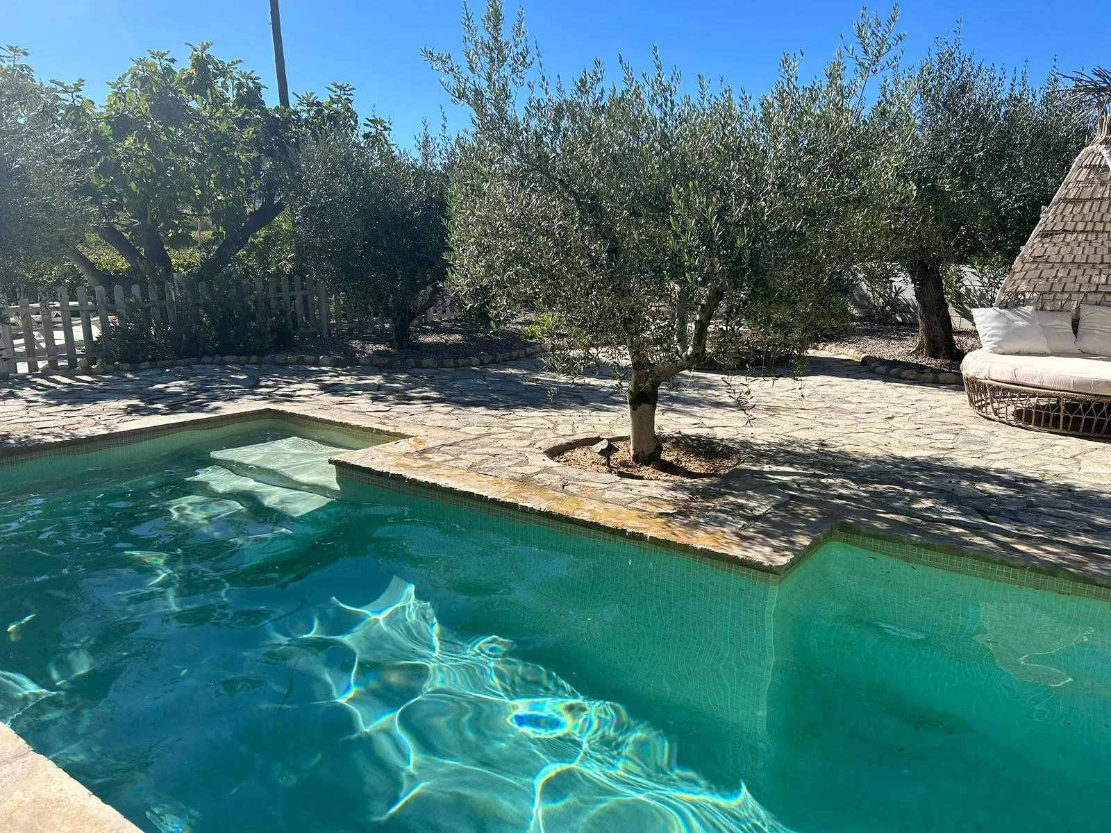 WhatsApp Image 2026-01-16 at 12.26.51 (3).jpeg