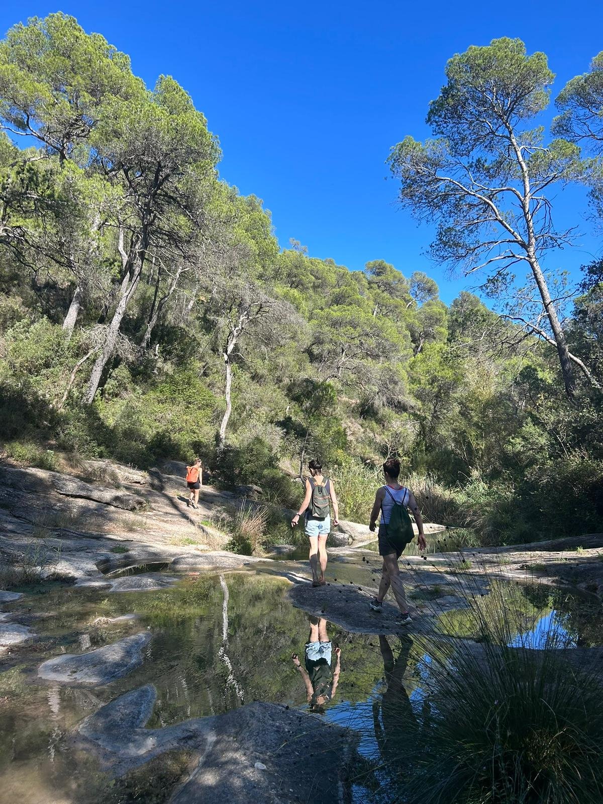 WhatsApp Image 2026-01-16 at 12.26.51 (6).jpeg