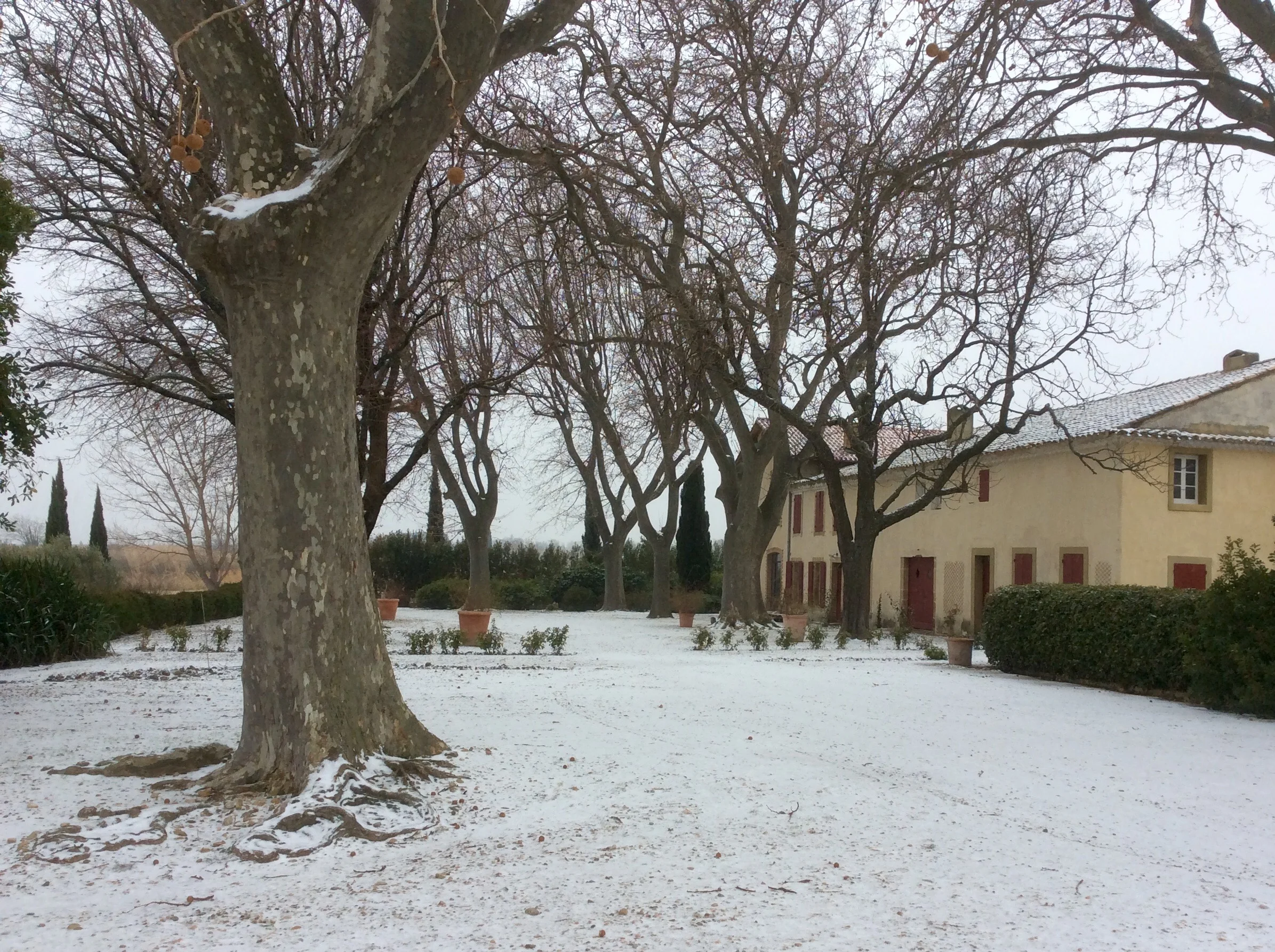 A real Winter at l'Ameillaud