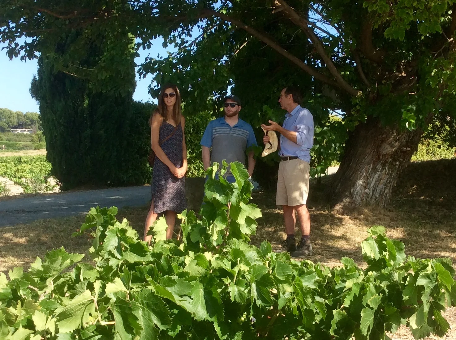 A Wine Tour at the Ameillaud