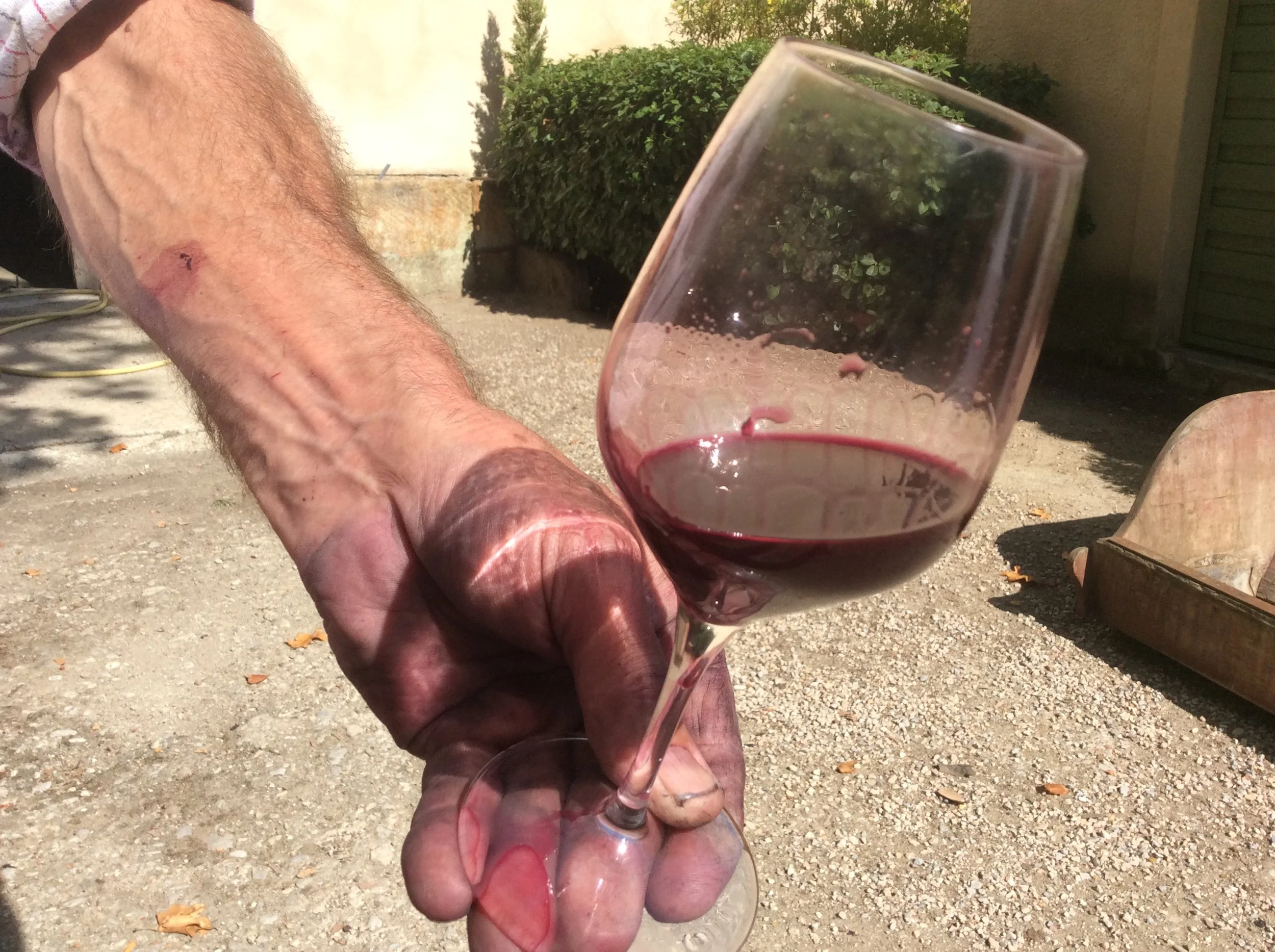 First 2017 Wine