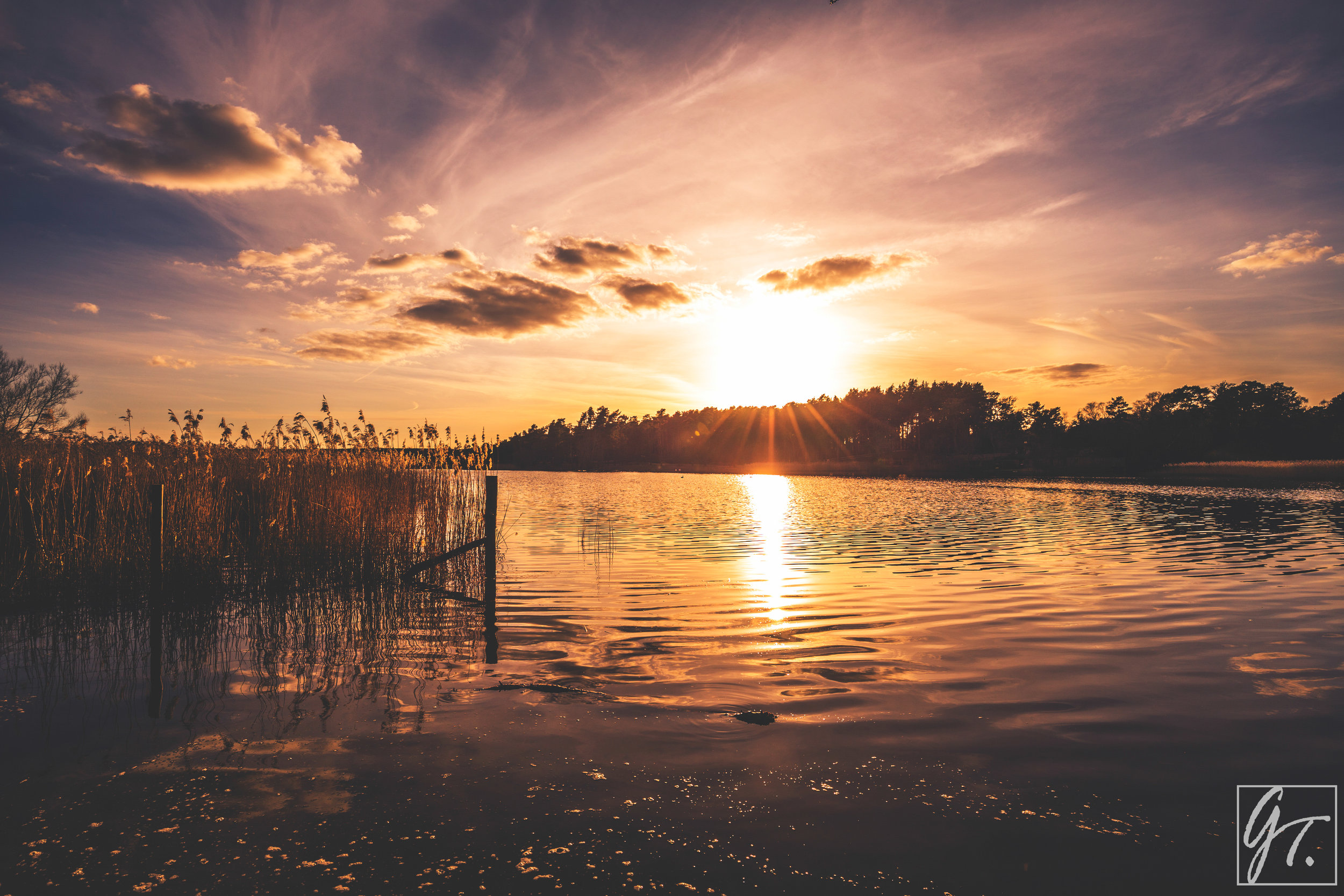 frensham sunset 2.jpg