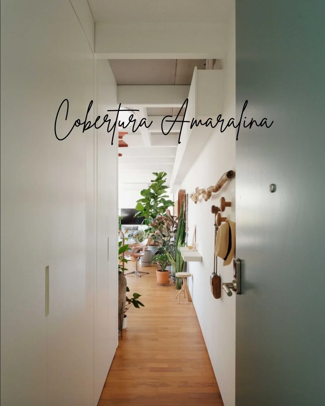 Hoje eu s&oacute; quero agradecer 🤍

&Agrave; @ssendacz por ter me confiado n&atilde;o s&oacute; um espa&ccedil;o para decorar, mas uma hist&oacute;ria para materializar. 

E tamb&eacute;m por permitir que esse apartamento fosse ambientado a partir 