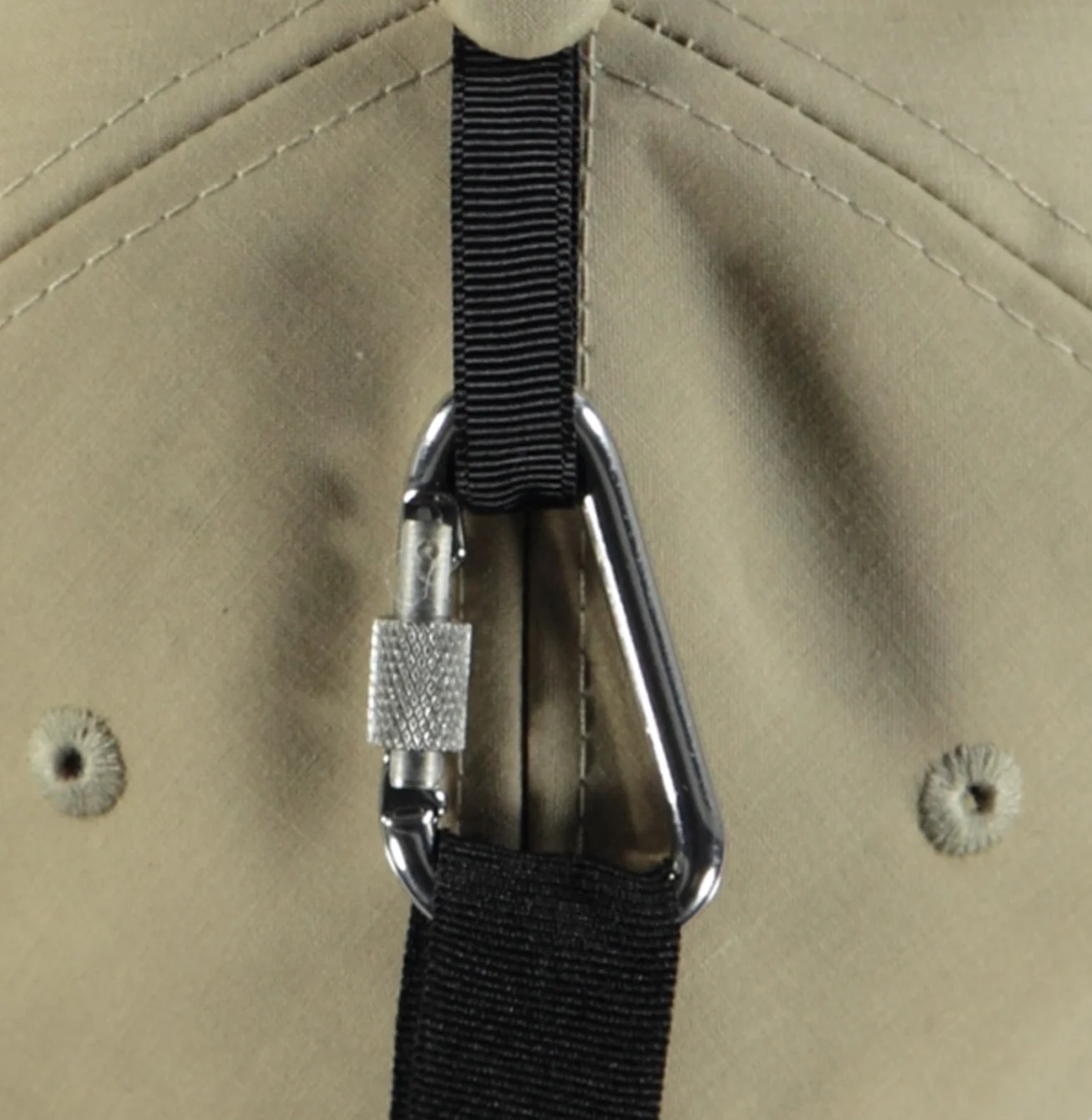 Cass camel detail.jpg
