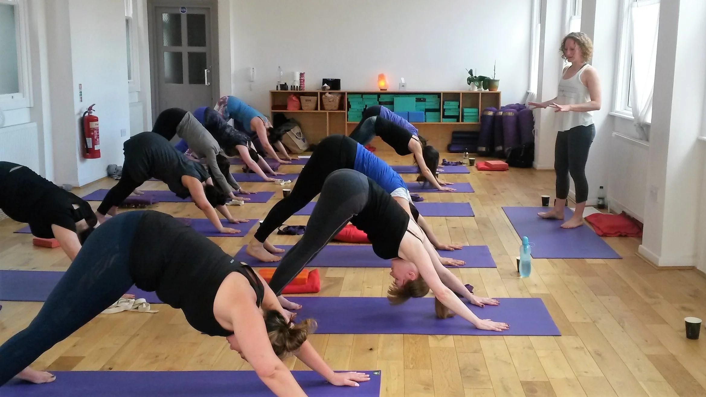 Survey: What Yoga Workshop appeals to you?