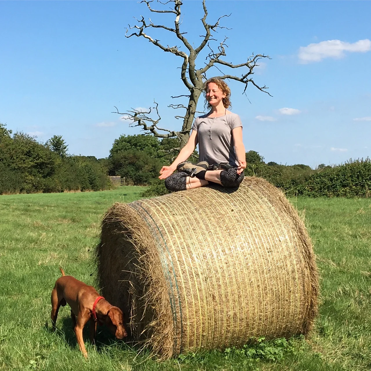 Gentle Somatic Yoga to Relieve Stress and Tension