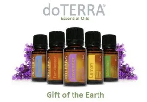Get some great Christmas gift options in the doTERRA Christmas range! 