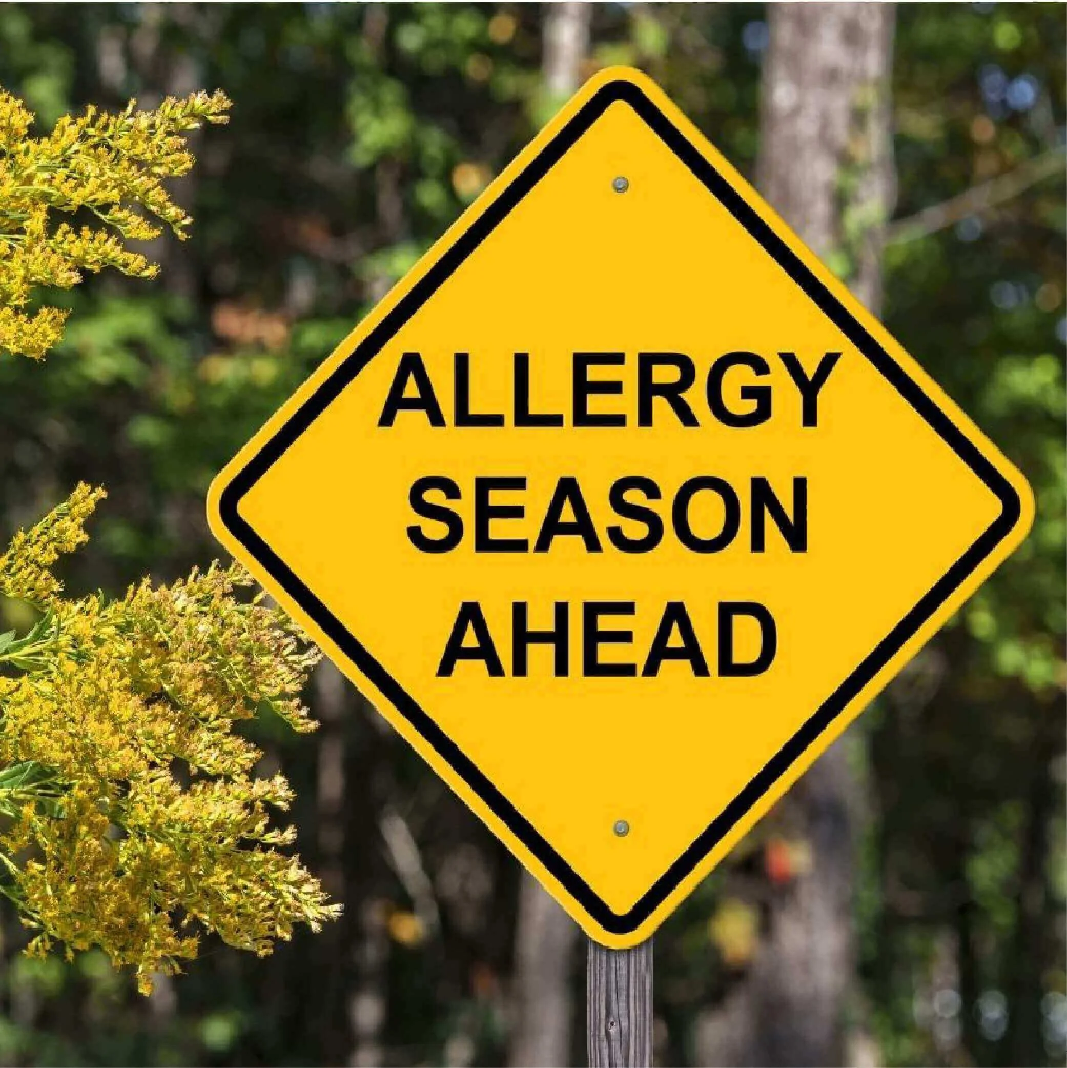 Natural Solutions for Hay Fever