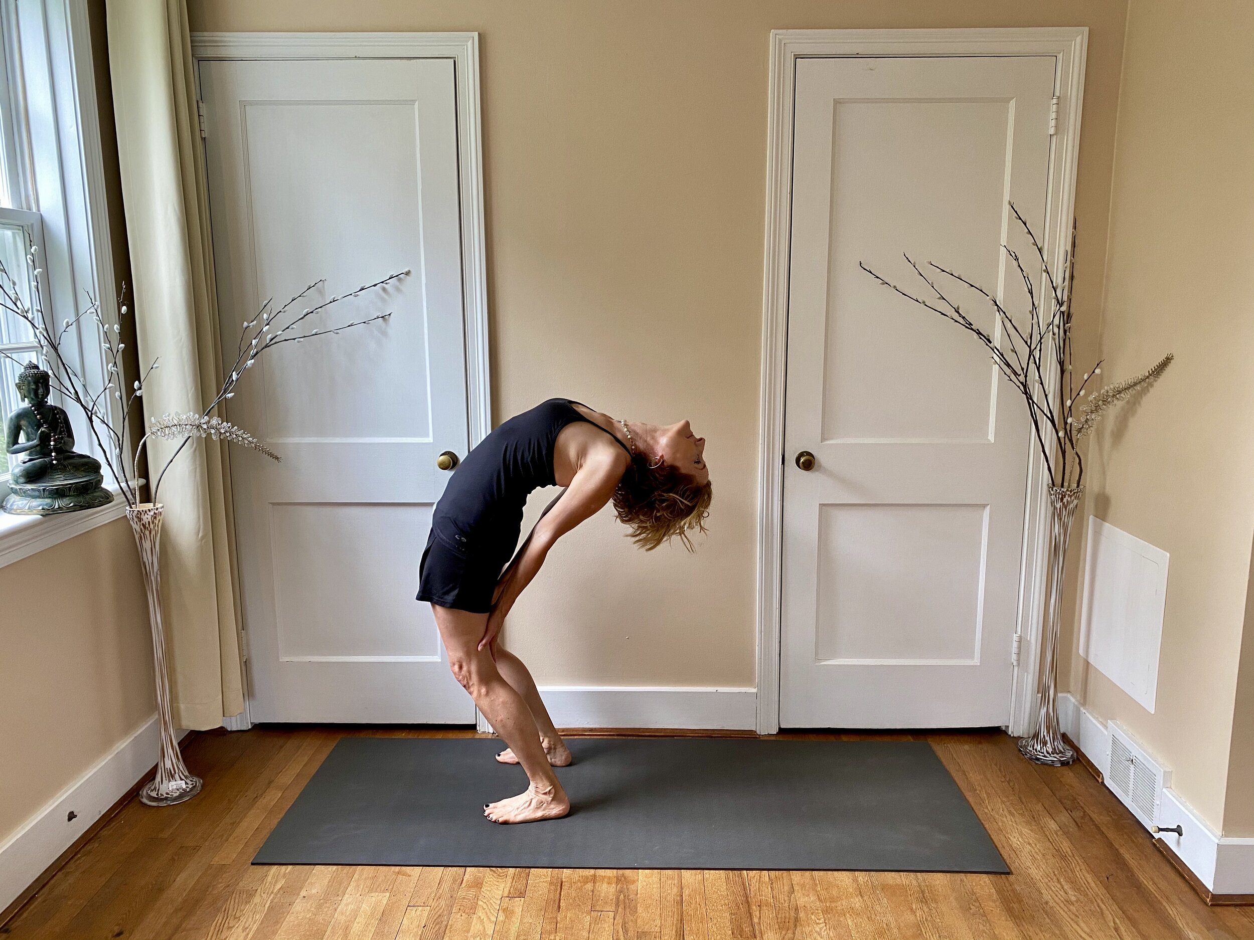 90 minute Advanced Backbends Class #2