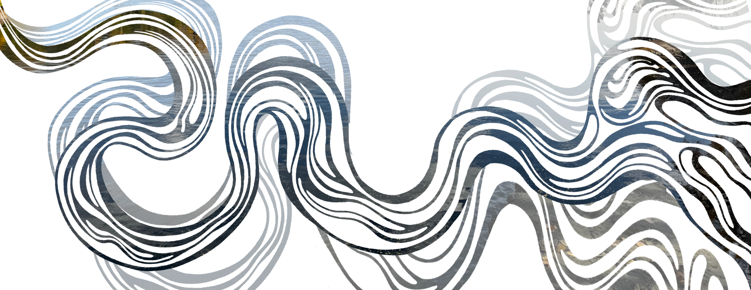 Untitled_Artwork (12).png