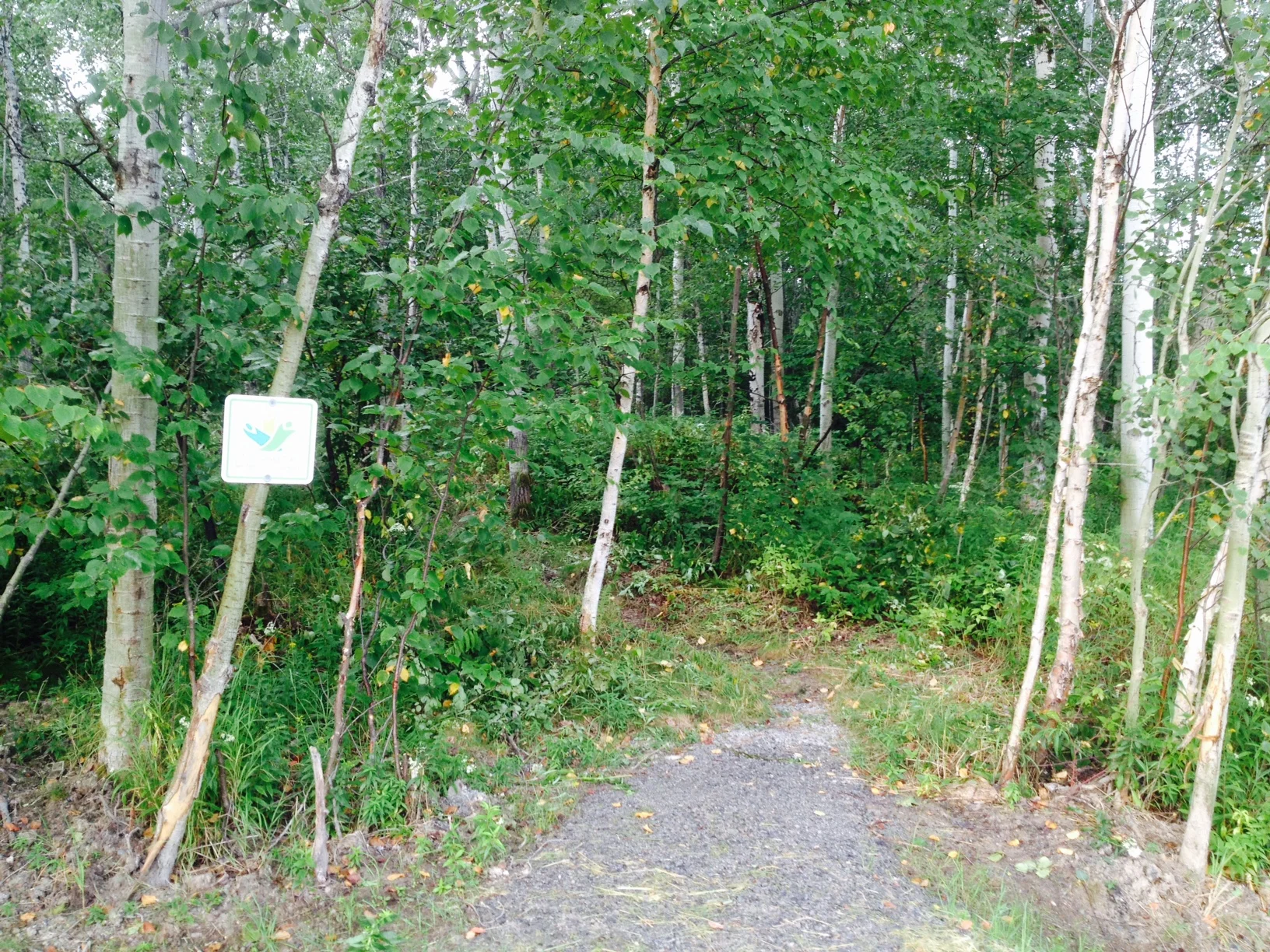TCTsing_LUtrail_aug2015_5.jpg