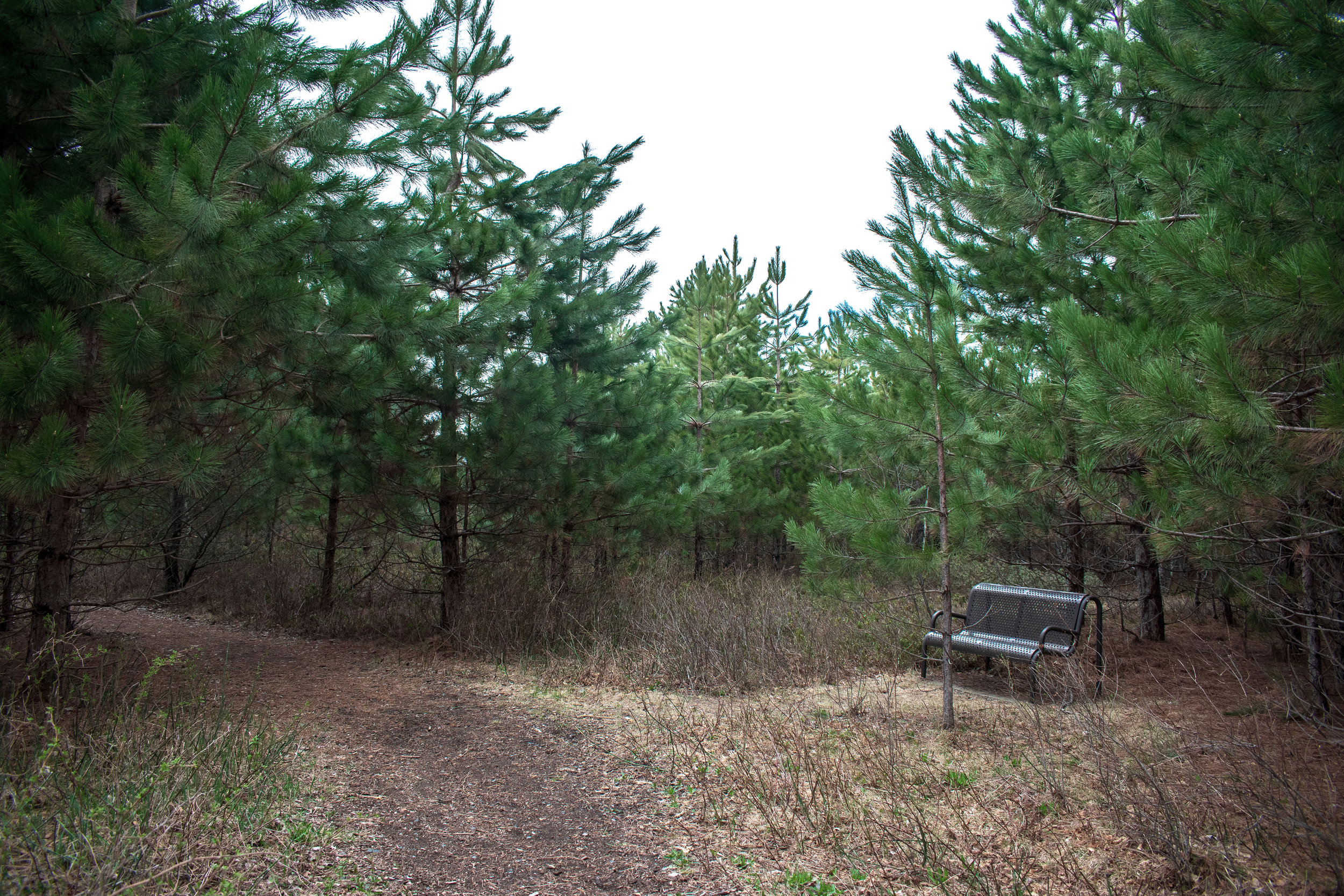 DSC_0064-SM.jpg