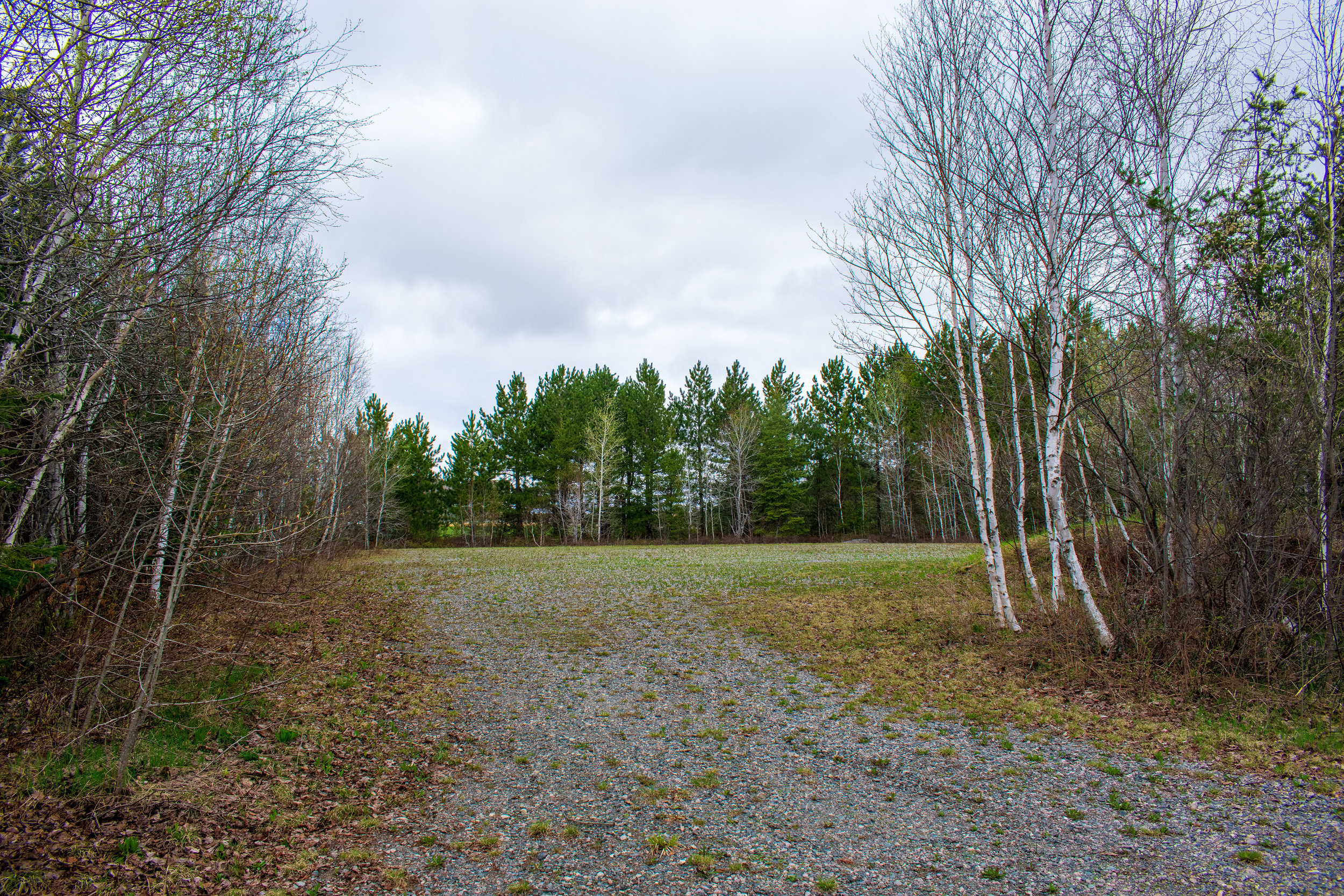 DSC_0061-SM.jpg