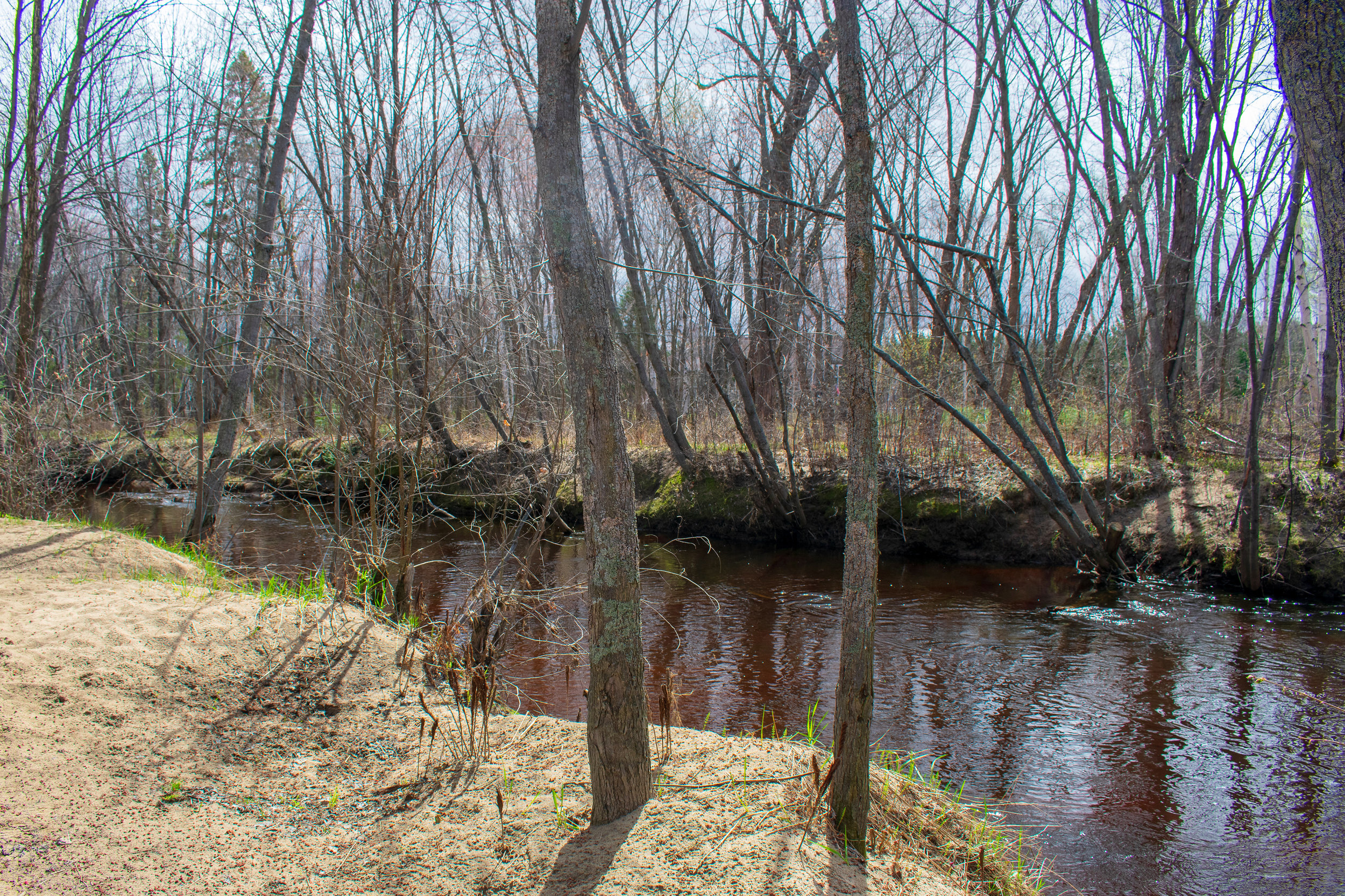 DSC_0109-SM.jpg