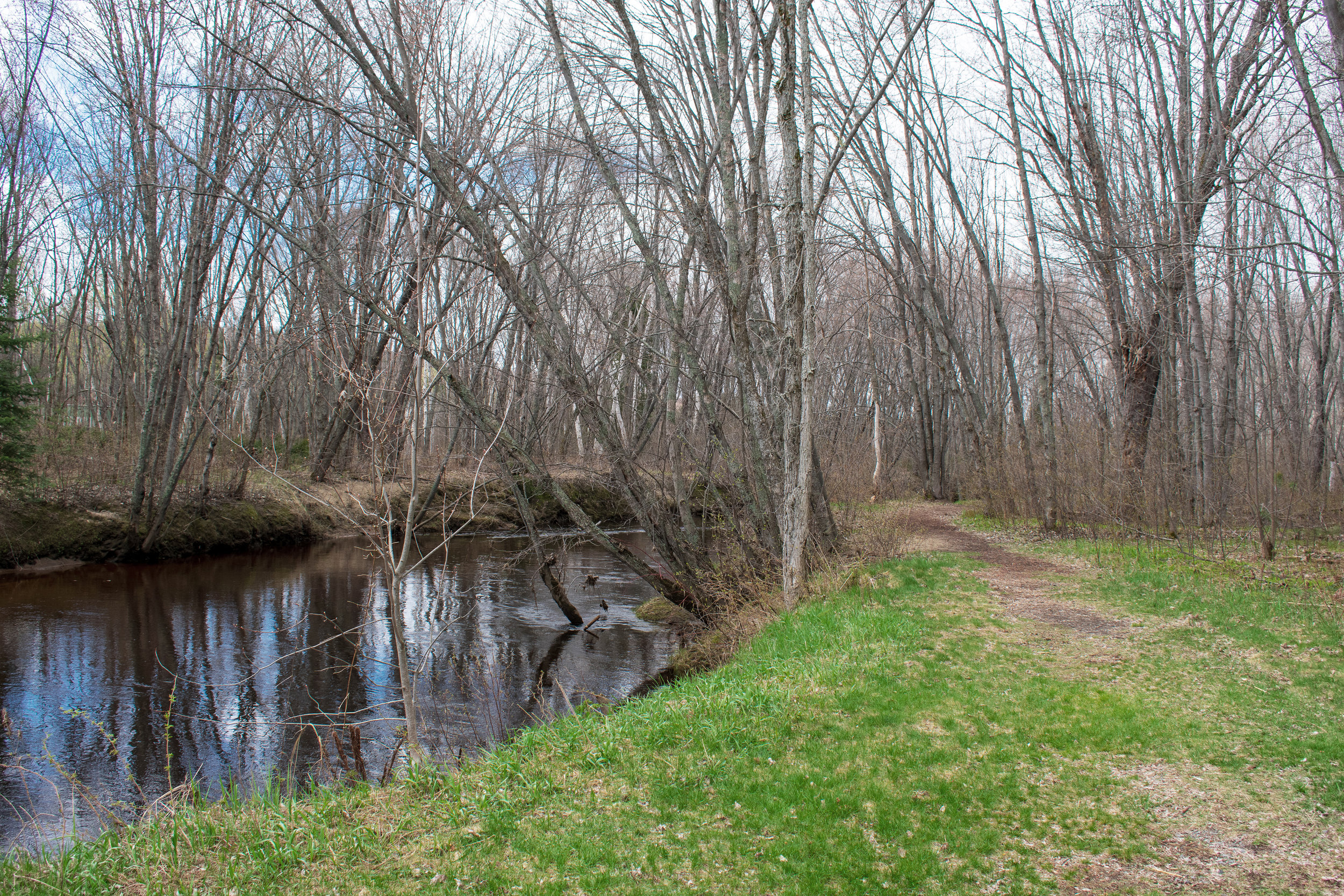 DSC_0125-SM.jpg