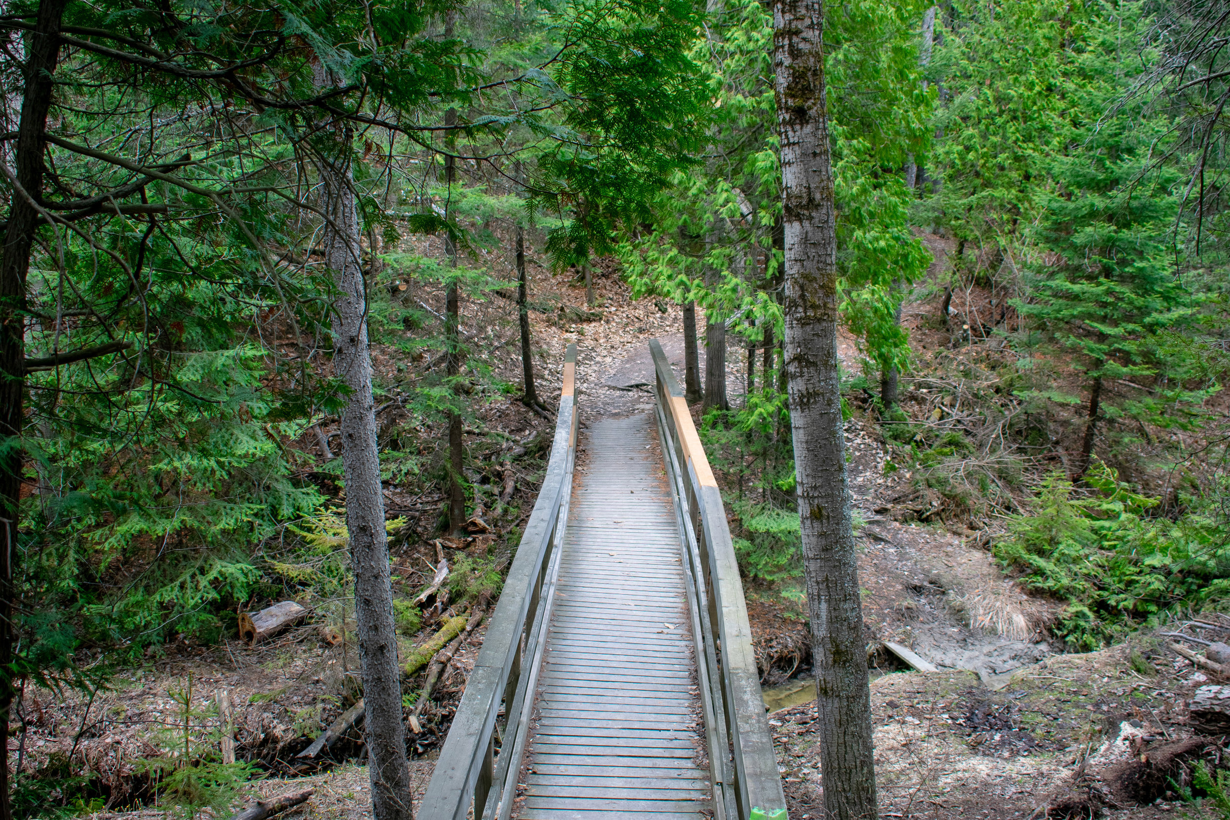 Hillfield_Summer_2019_Trail_21.jpg