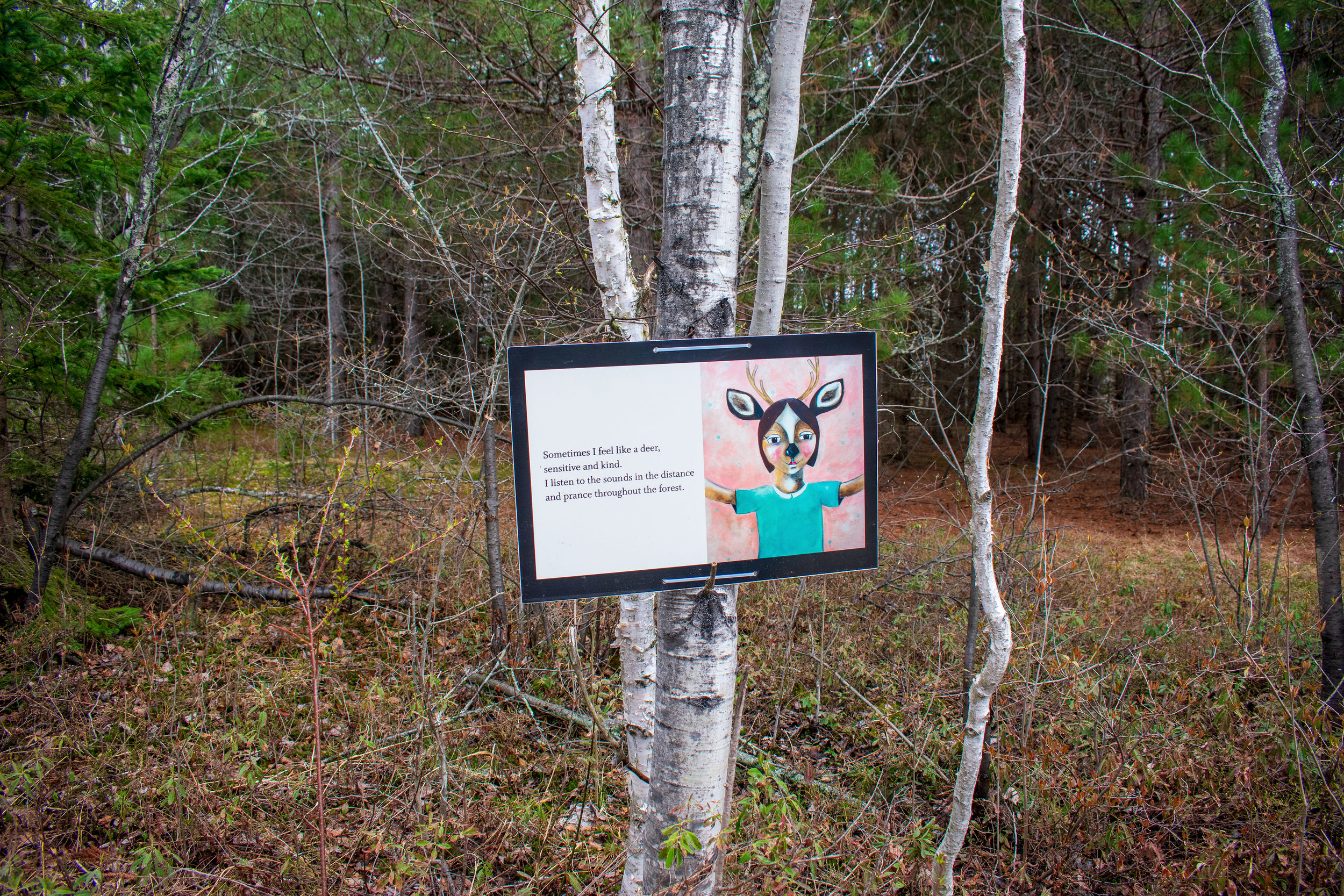Langdon_Summer_2019_Trail_18.jpg