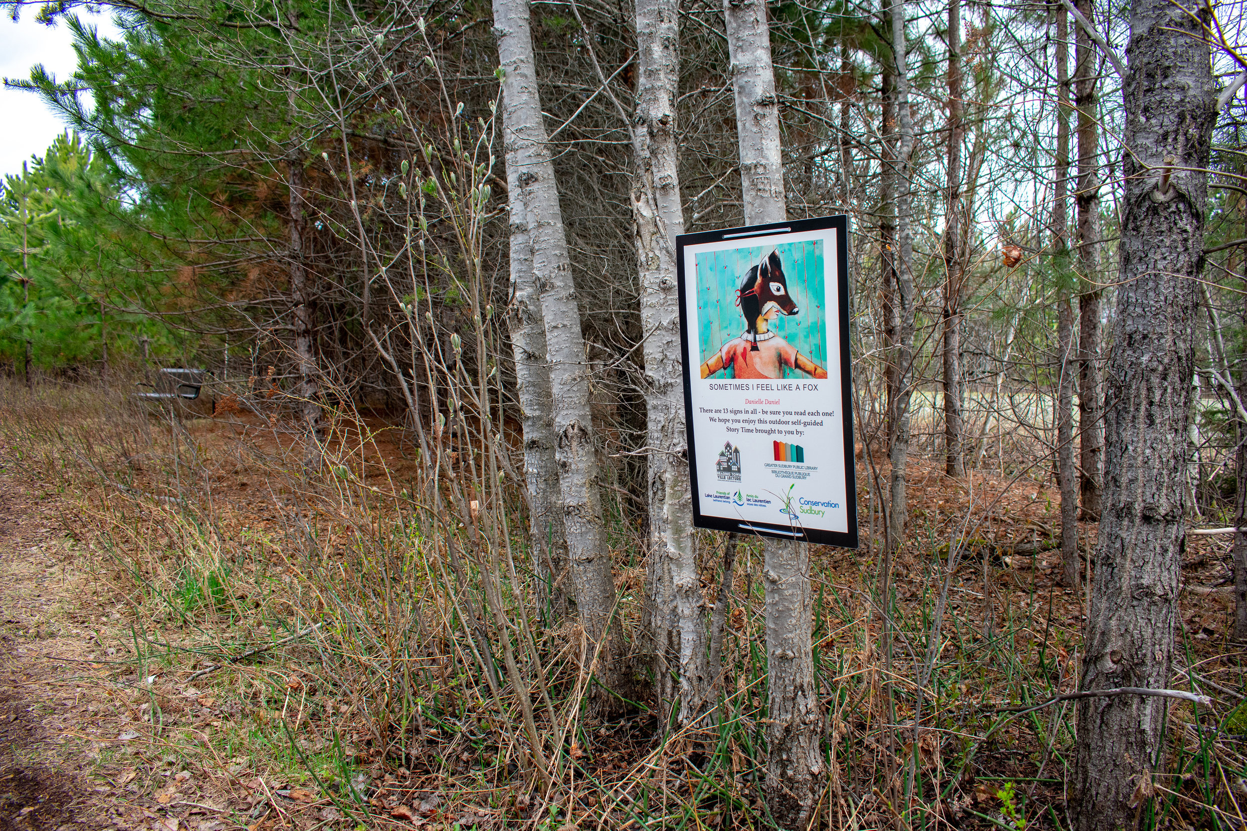 Langdon_Summer_2019_Trail_12.jpg