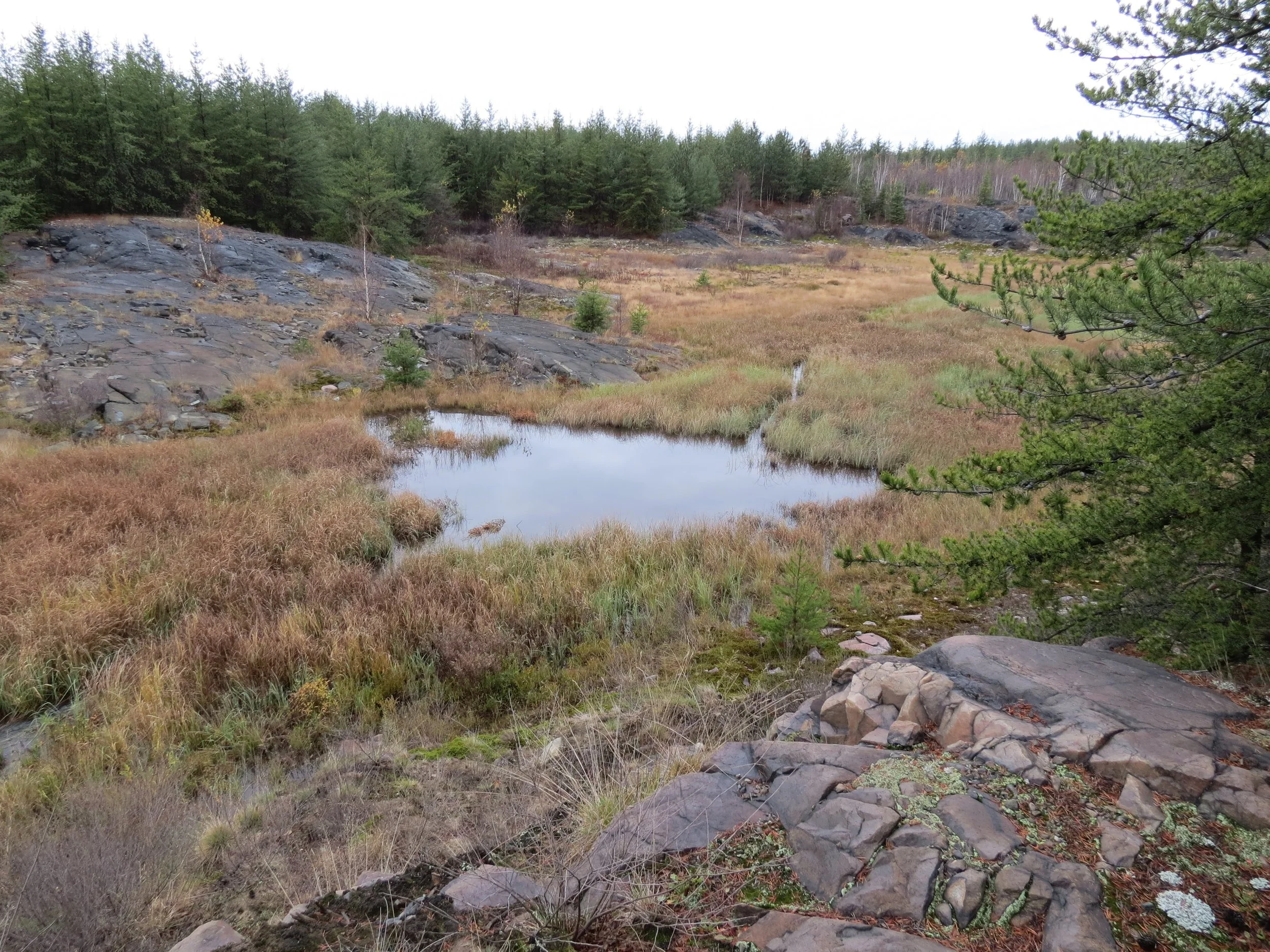_Sudbury Landscape - Fall (1).jpg