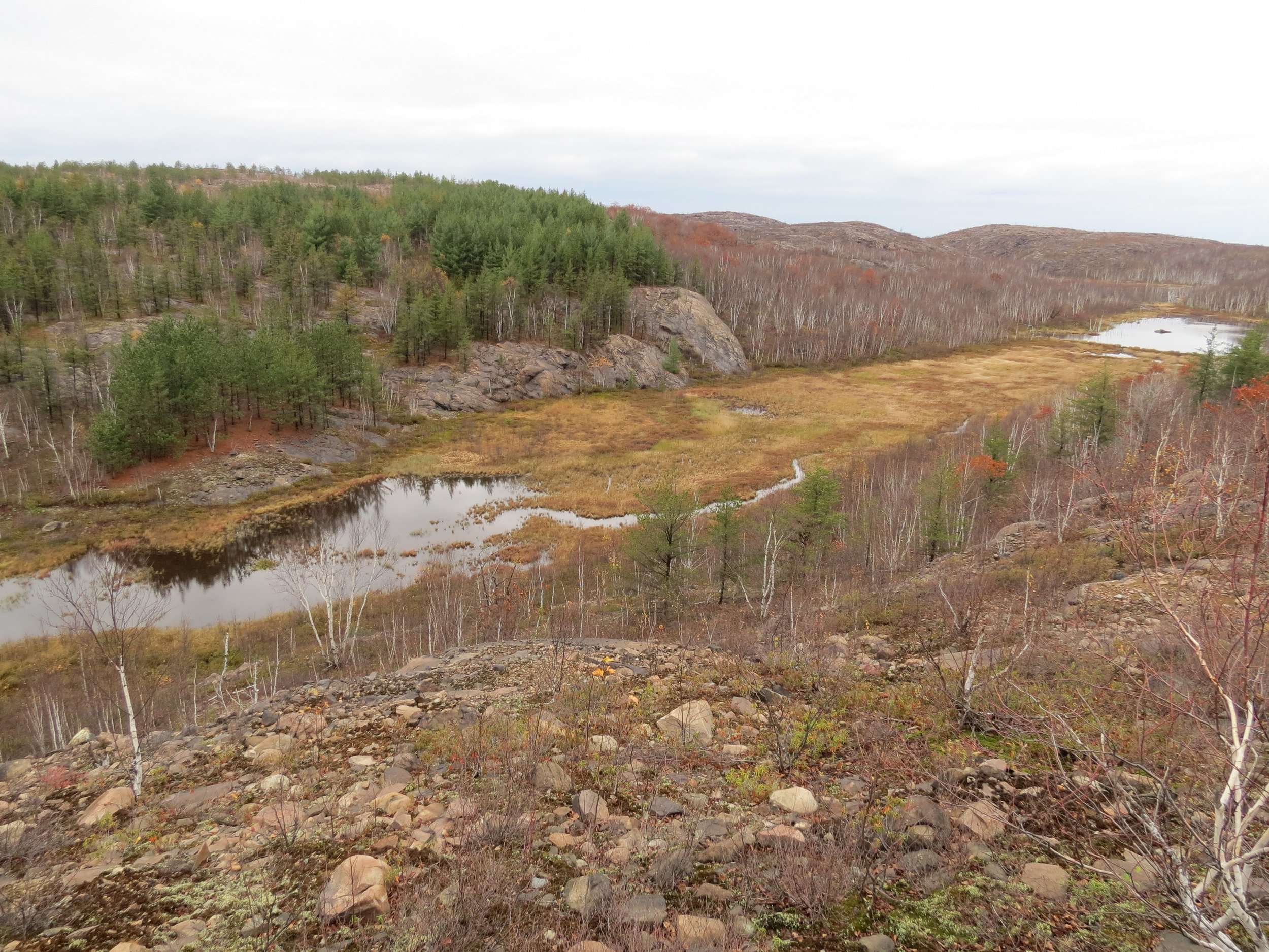 _Sudbury Landscape - Fall (4).jpg