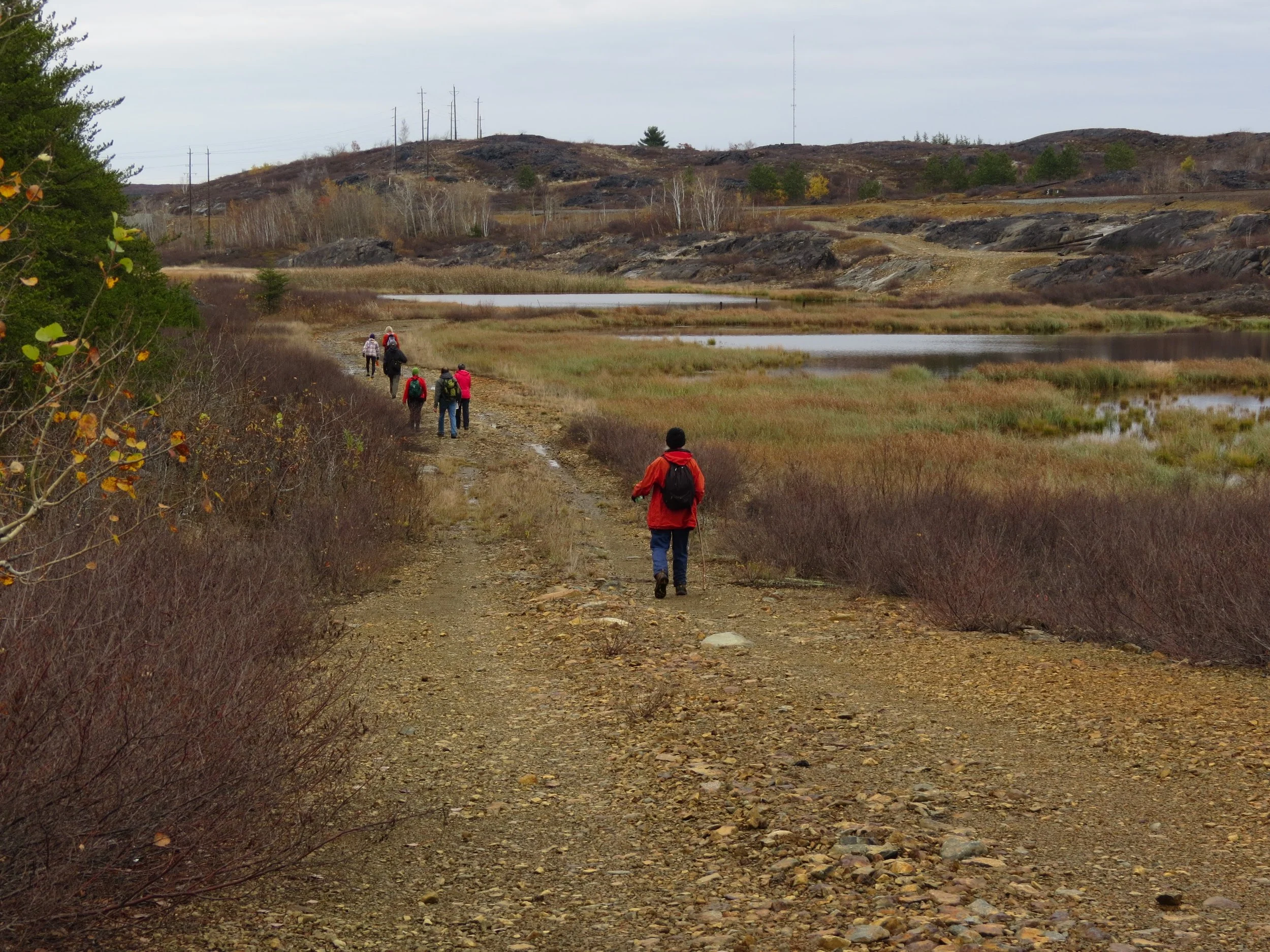 Hiking Wetlands.jpg