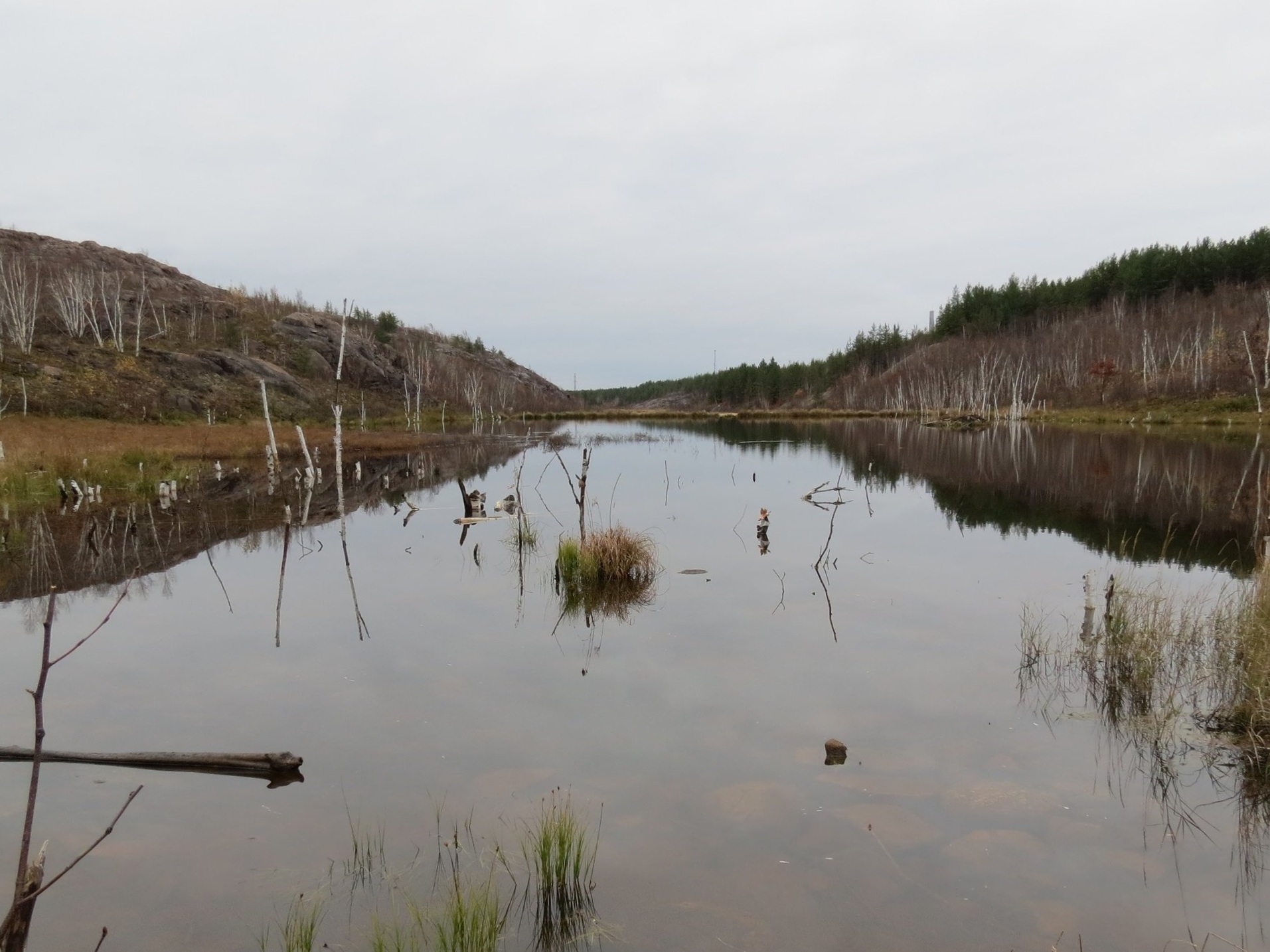 _Sudbury+Landscape+-+Fall.jpg