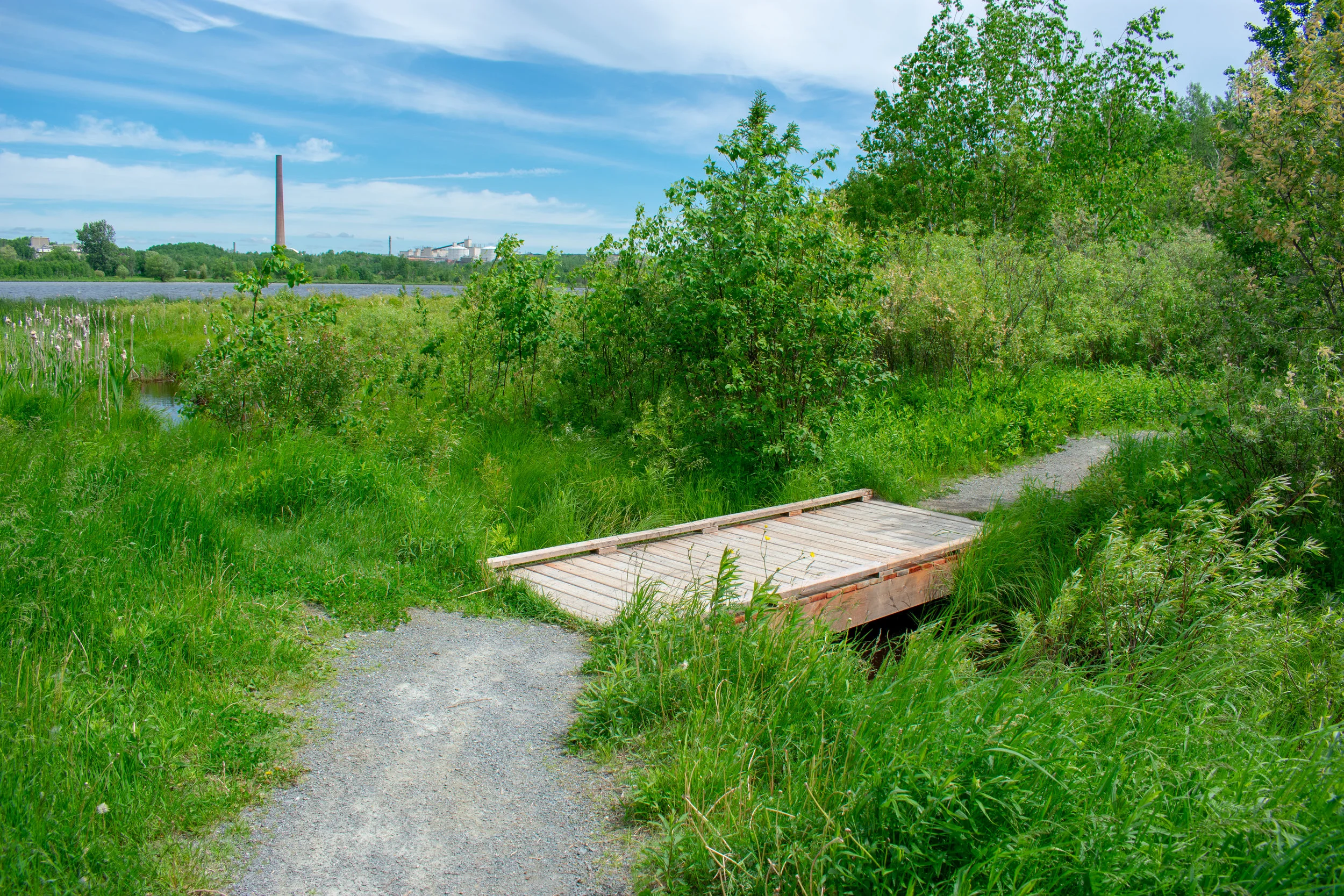 DSC_0630.jpg