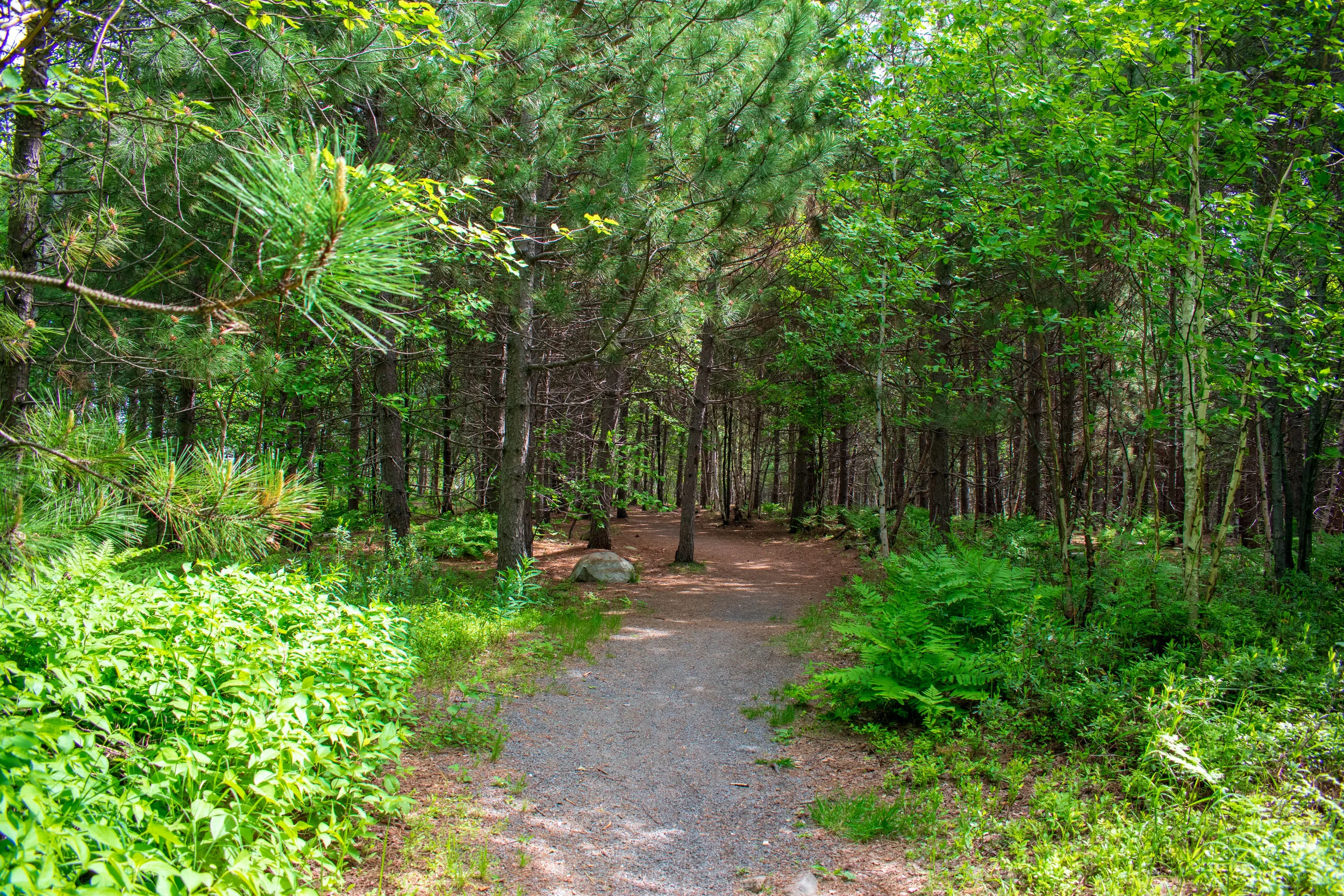 DSC_0635.jpg