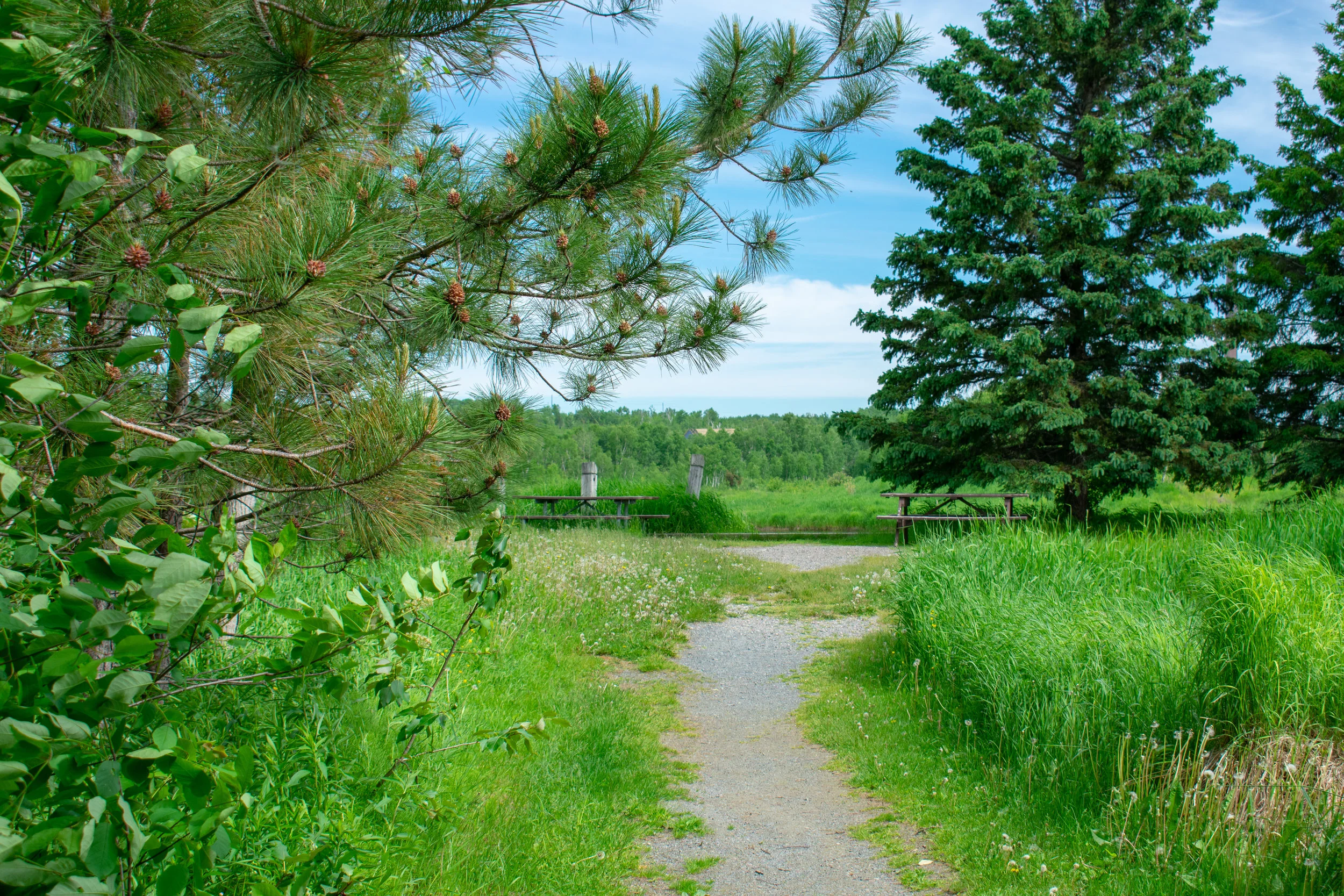 DSC_0608.jpg
