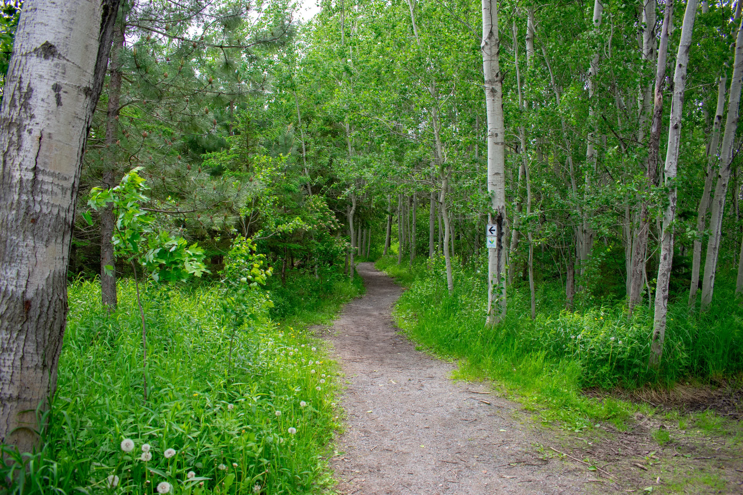 DSC_0613.jpg