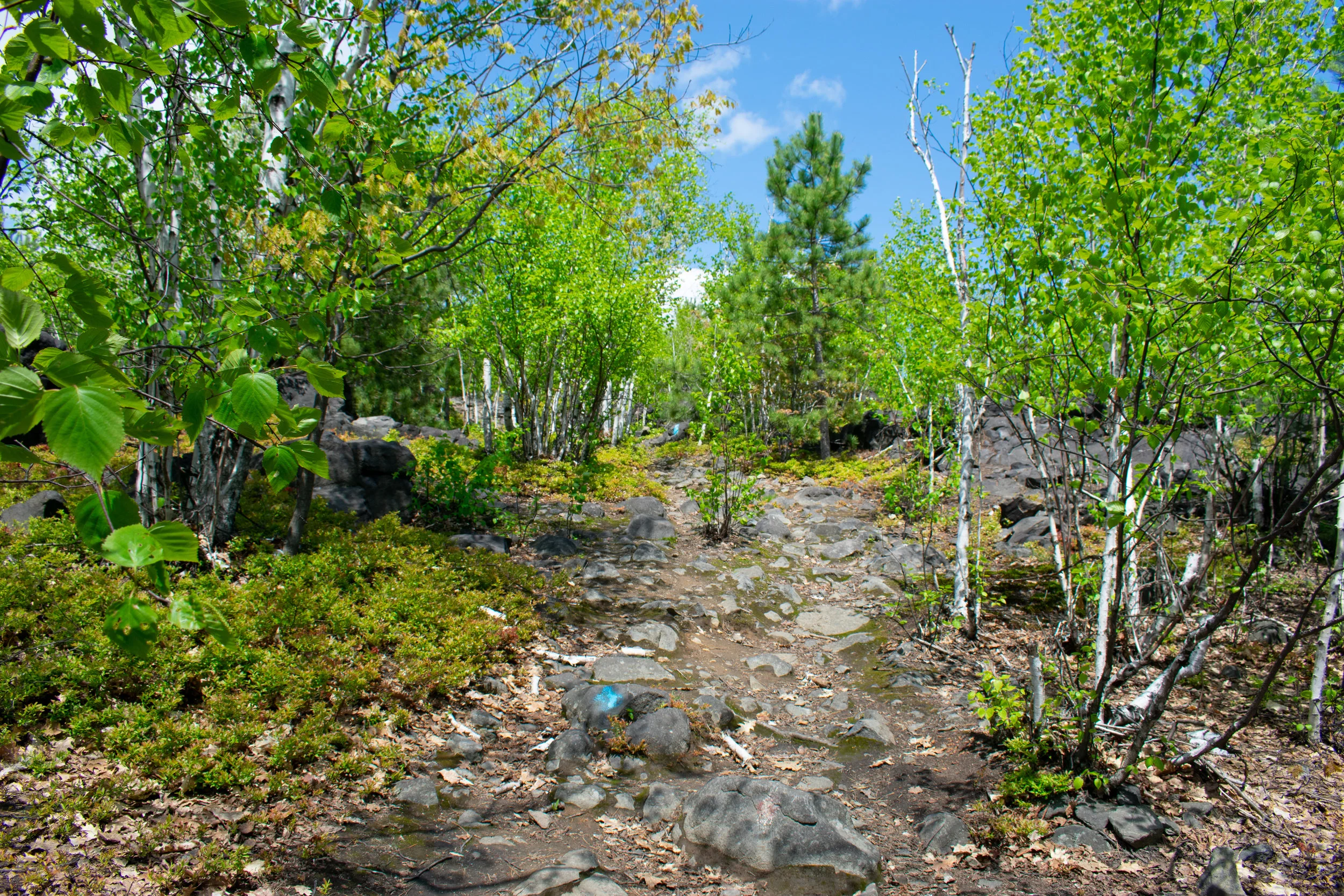 DSC_0416.jpg