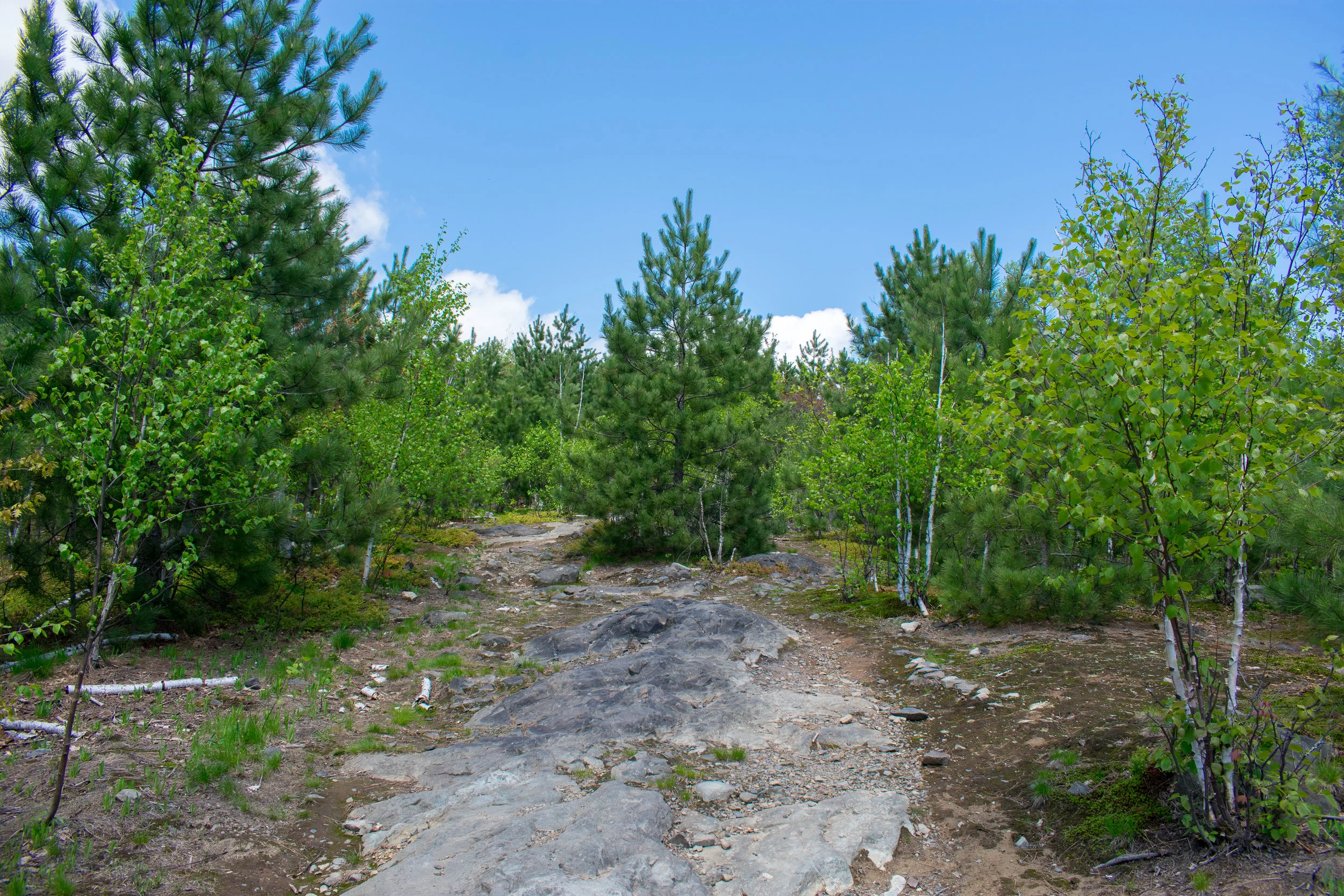 DSC_0405.jpg